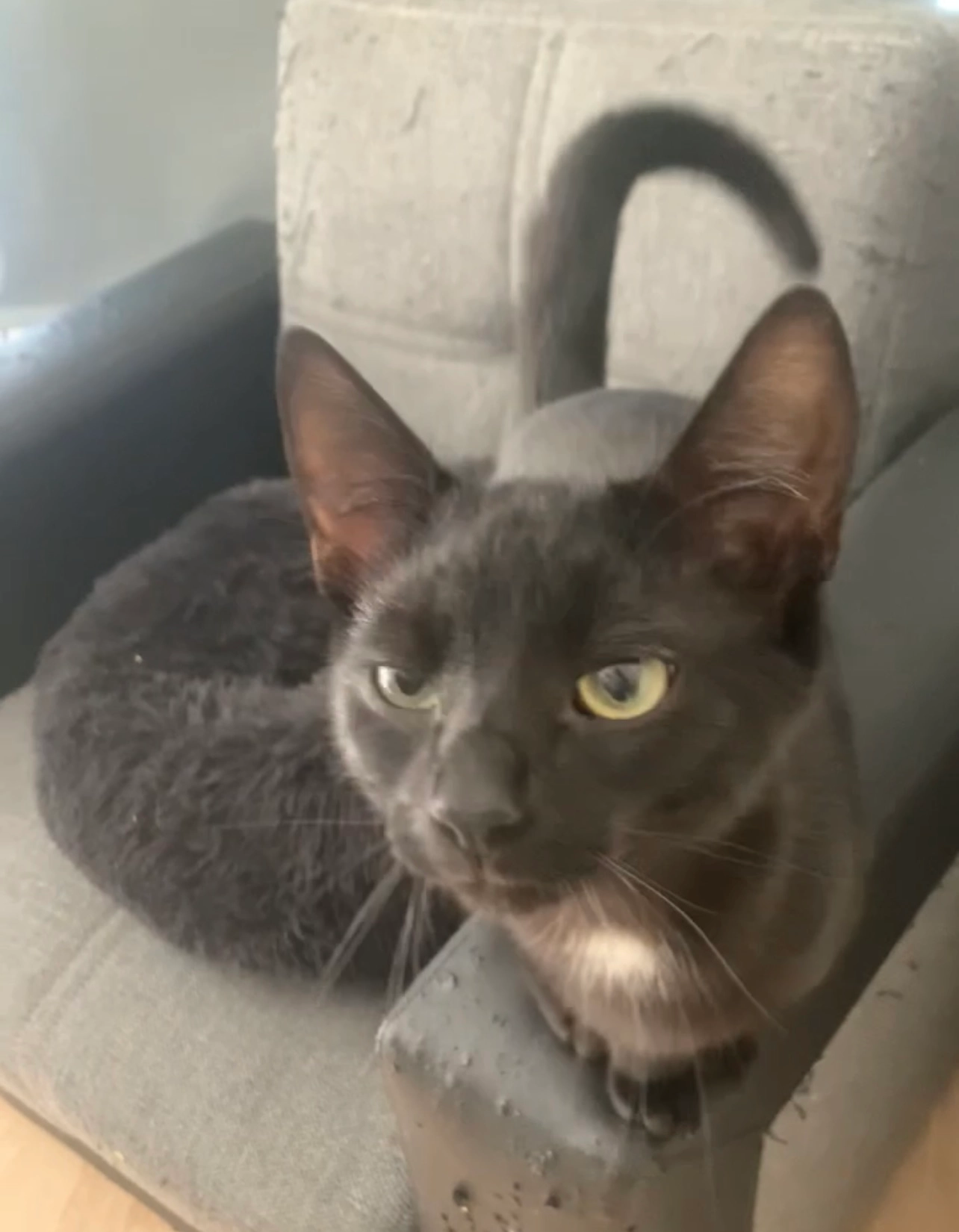 Abu - Meddosestraat, Winterswijk