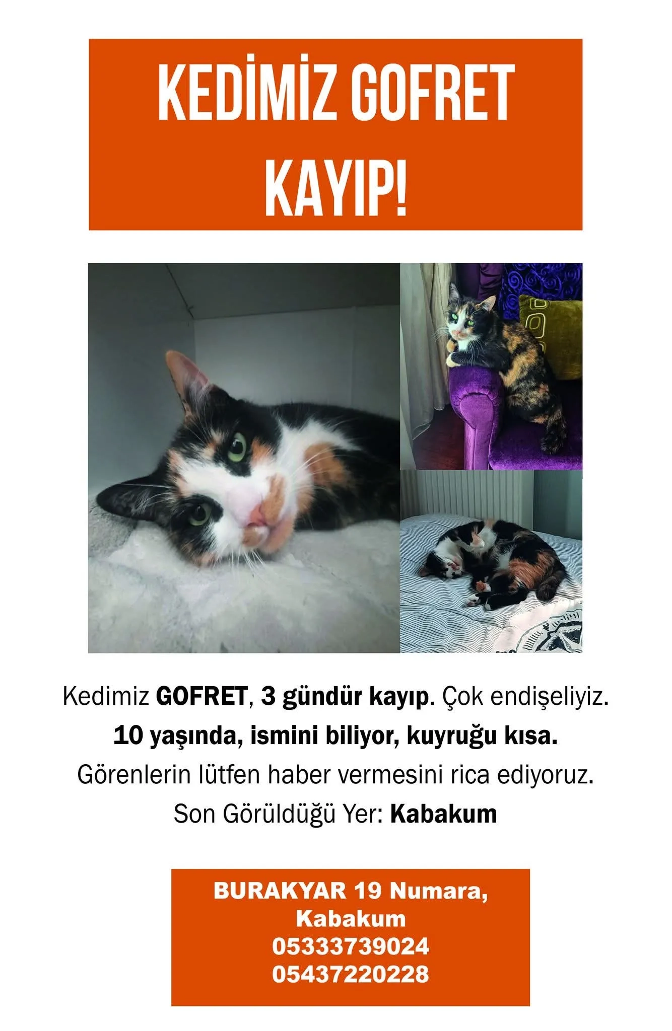 Gofret - Kabakum Cumhuriyet Caddesi, Kabakum