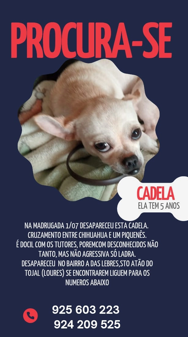 Star - Travessa Da Liberdade, Santo Antão do Tojal