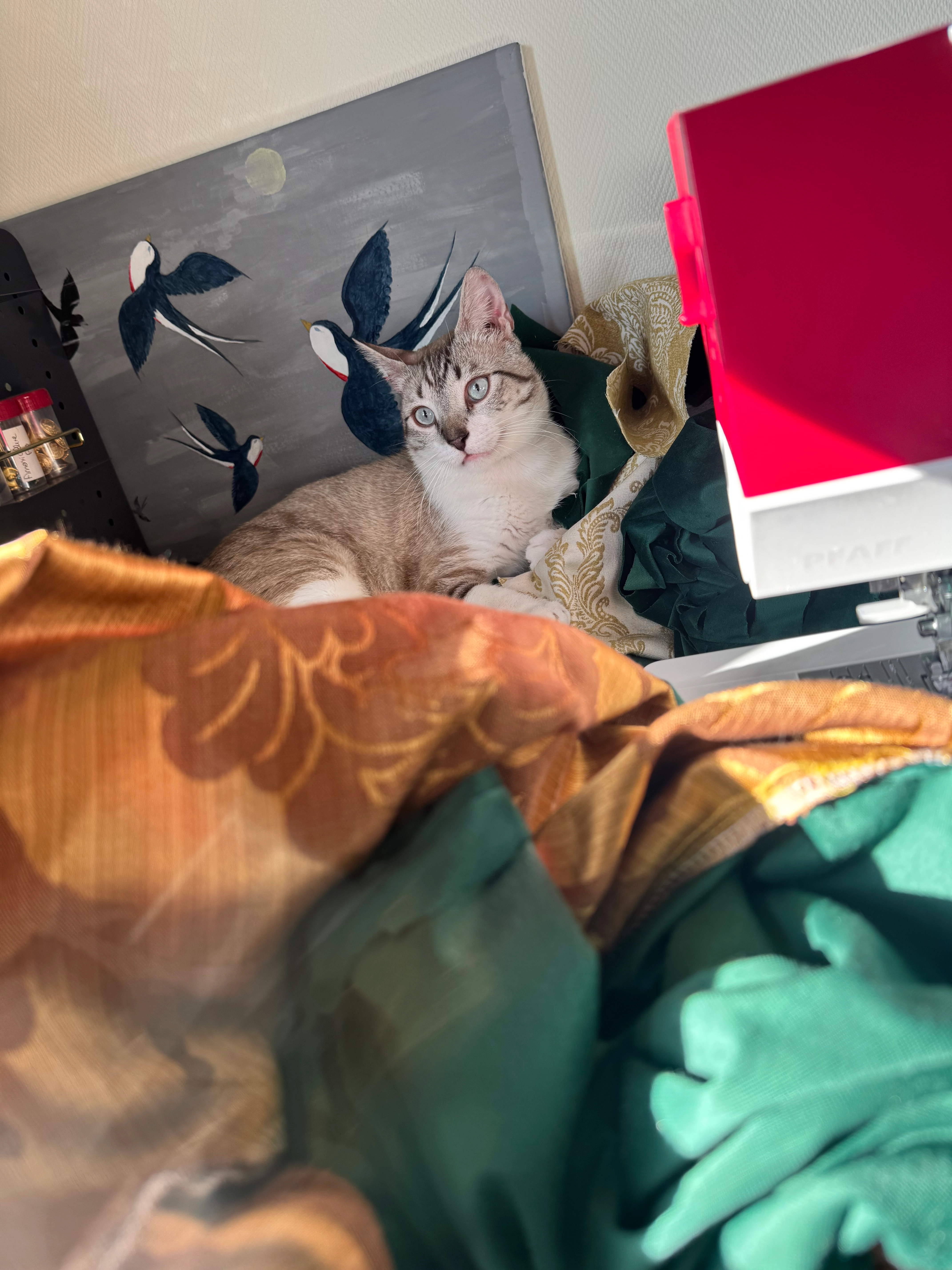 Ethgat  - Rue Eugène Landais, Poitiers