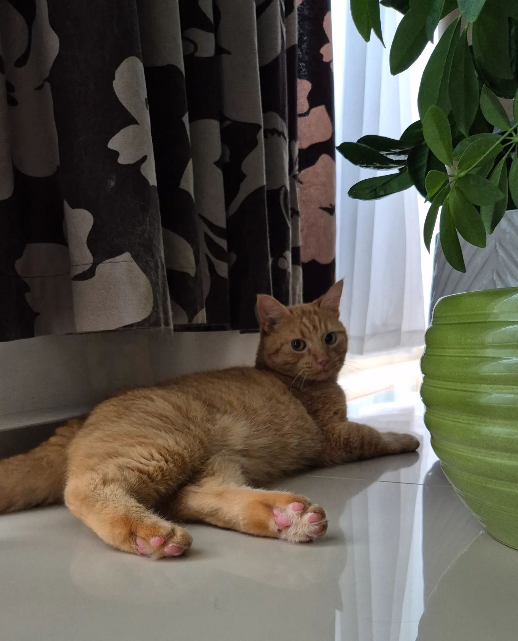 Piparkūka - Vārpu iela, Mārupe