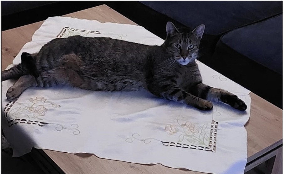 MAX - Dr. Karl Exel Weg, Sankt Jakob im Rosental