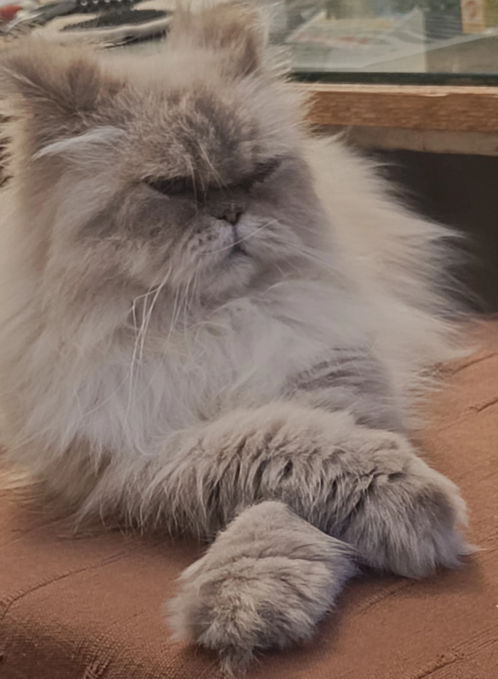 Sky - Stationsdreef, Roeselare