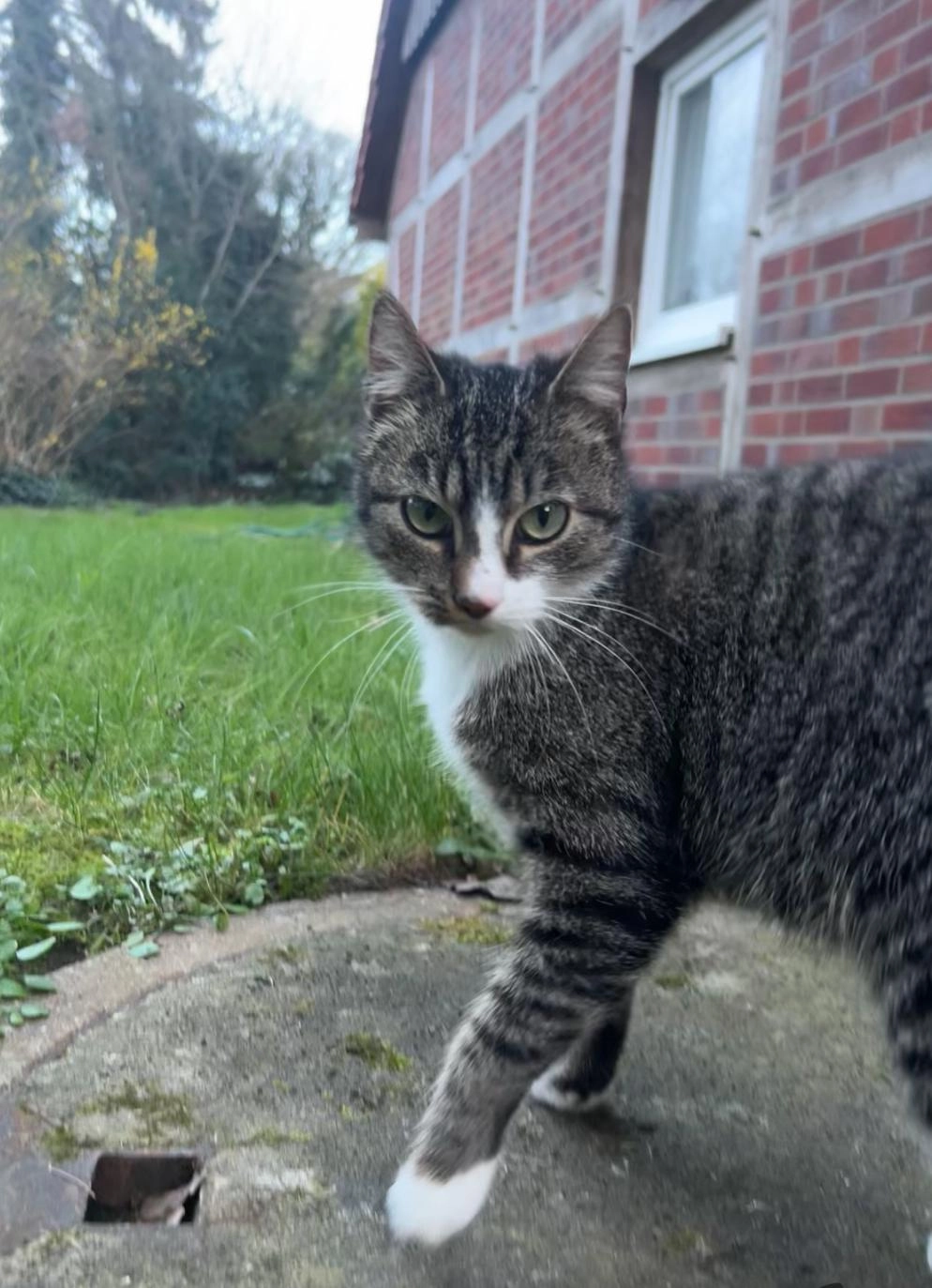 Nala - Mühlenbreede, Lienen