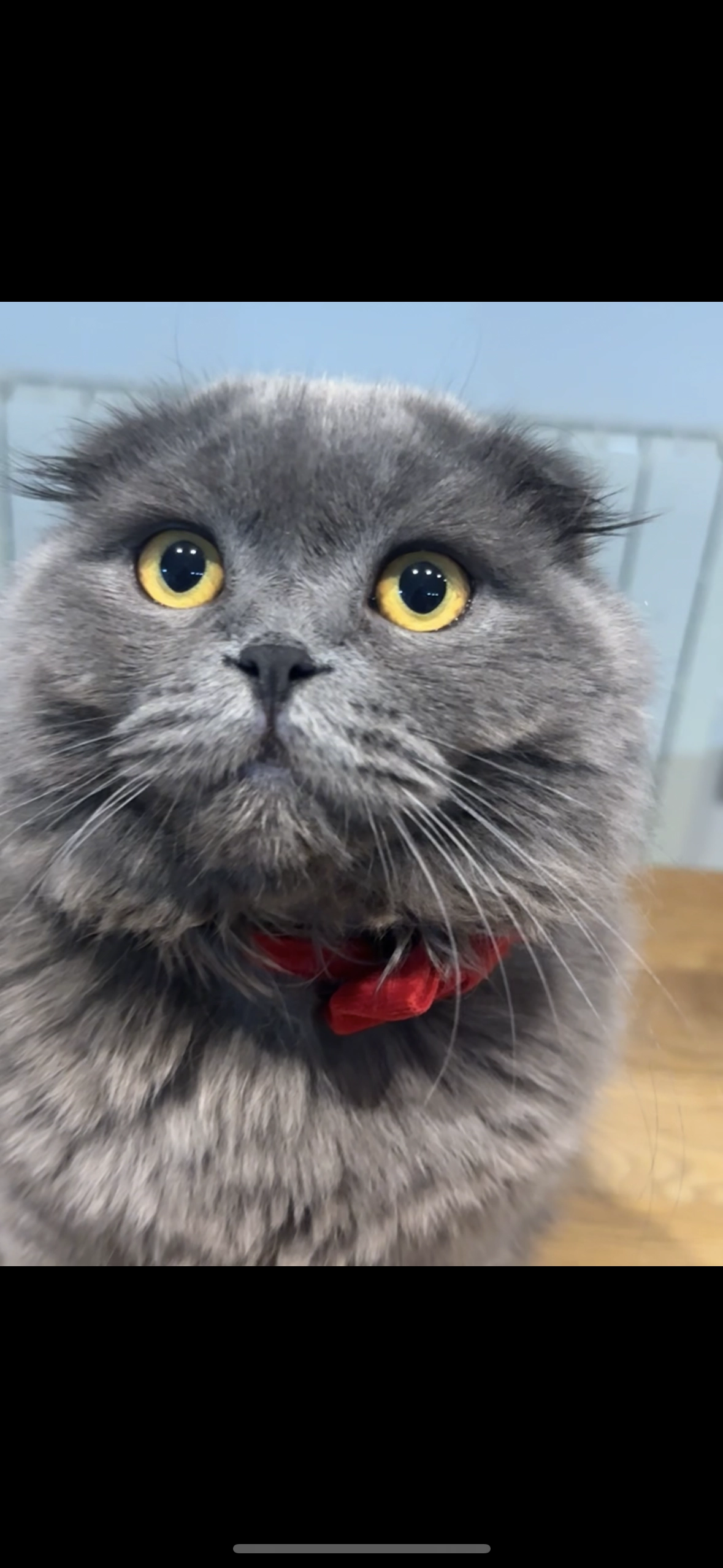 Teddy - 8 Rue du Faubourg, Lauterbourg