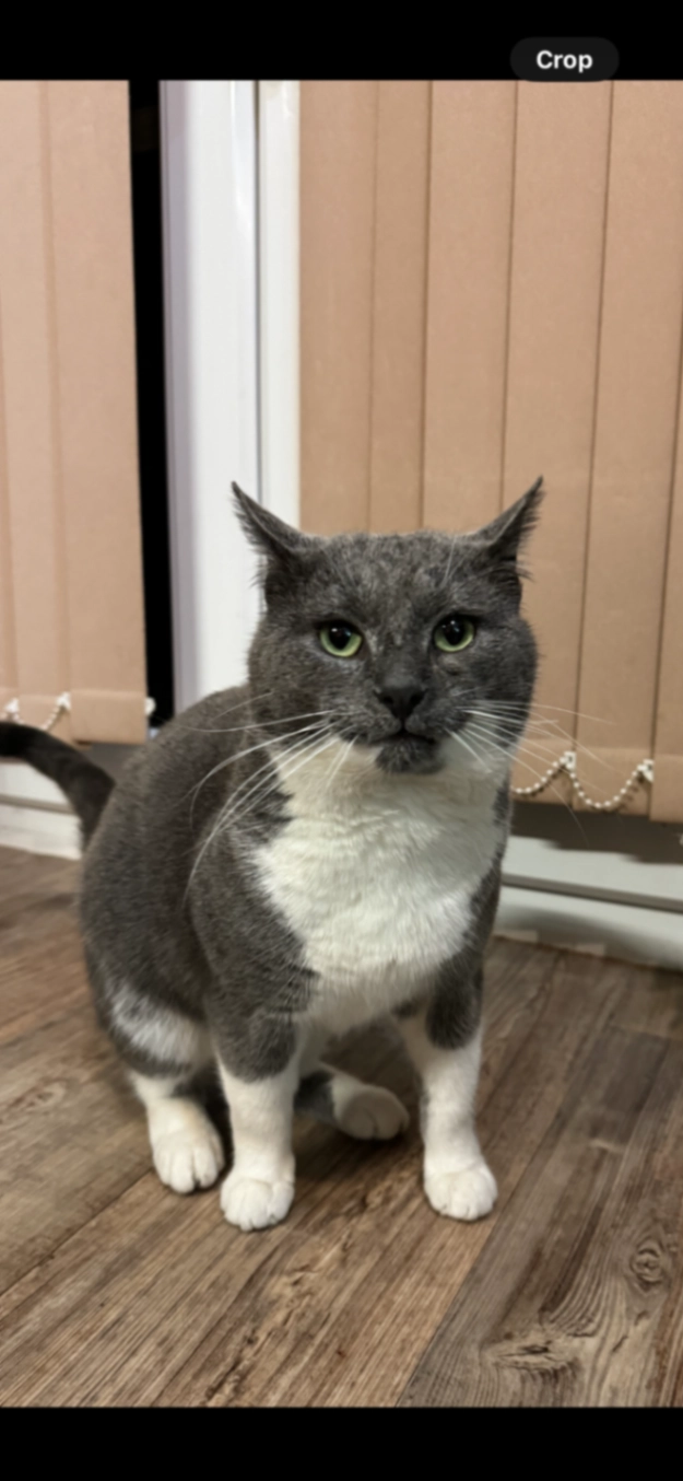 Billoo - Starbank Road, Birmingham