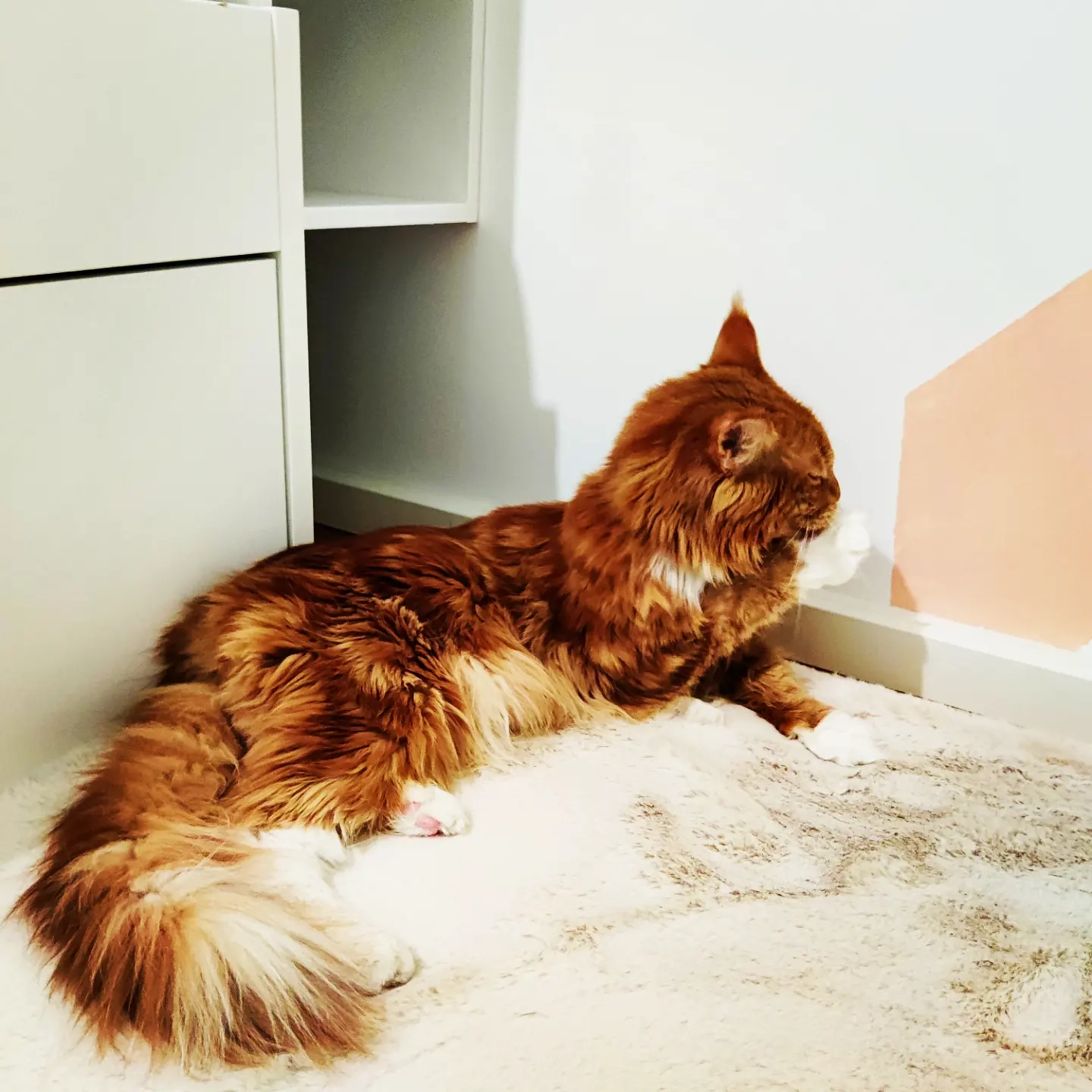 Galahad - Nedergården, Jordbro