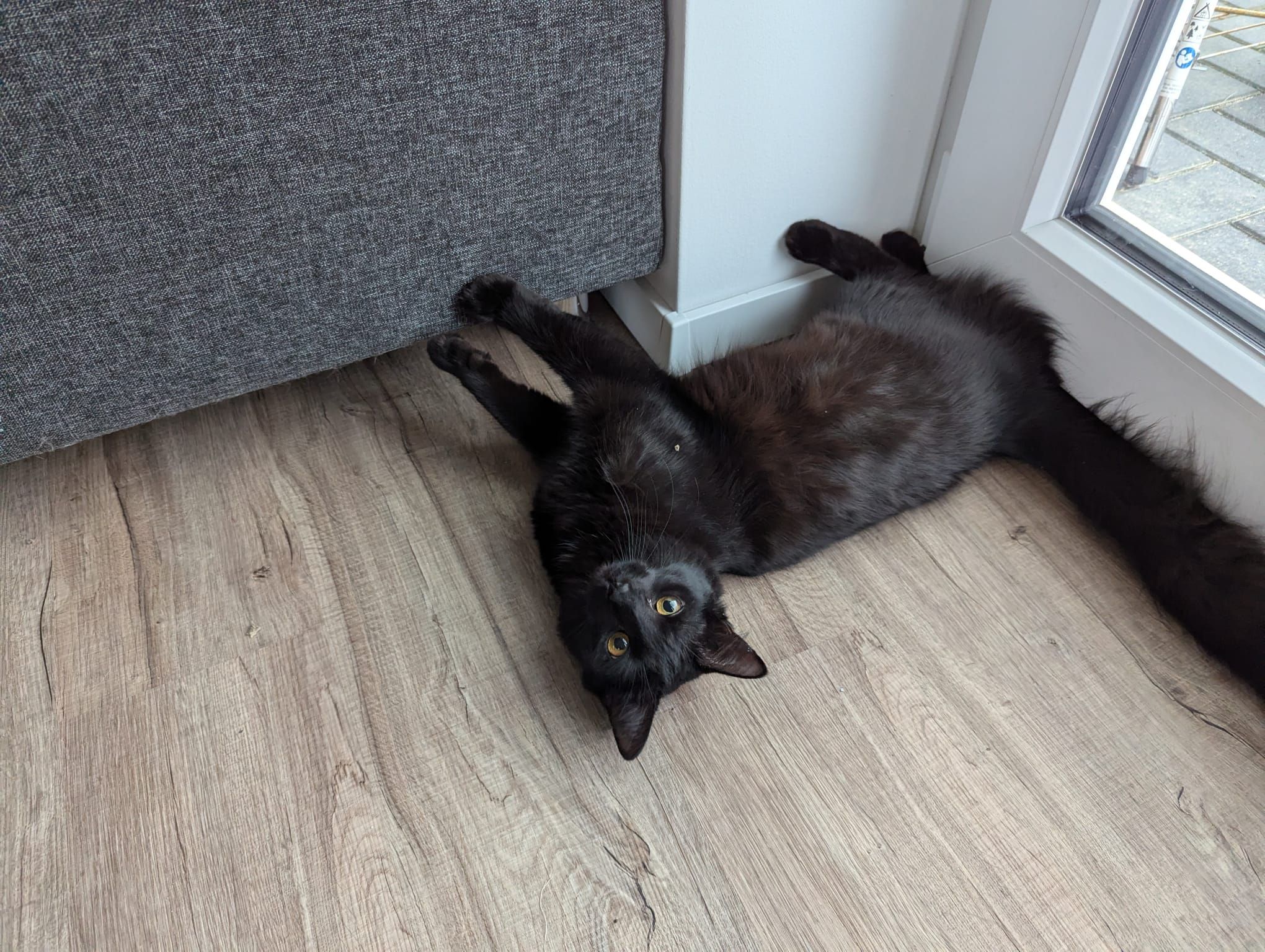 Mora - Feldlerchenweg 1A, Müden