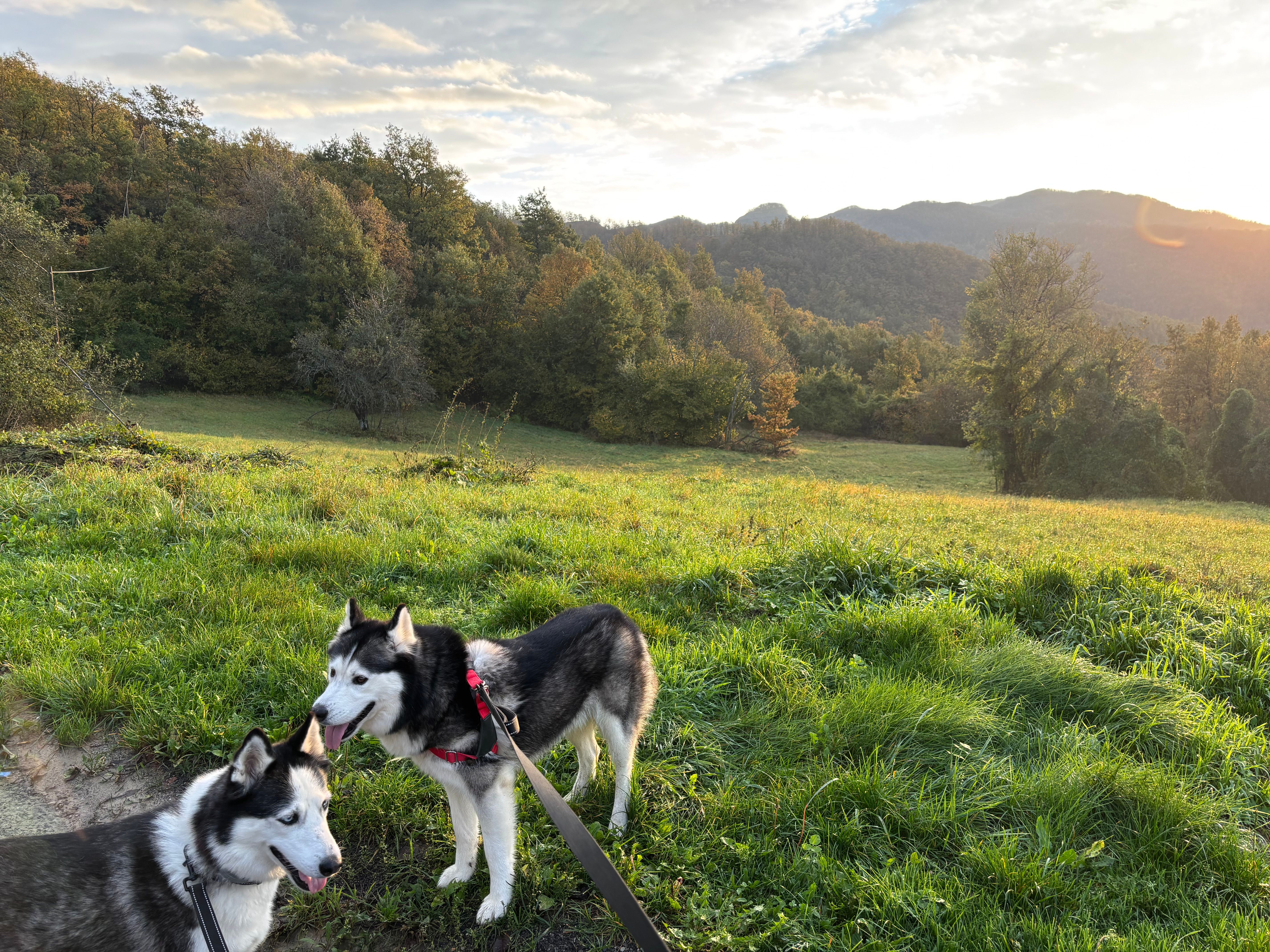 Mishi and demon - Noveglia-Pianelleto, Bardi