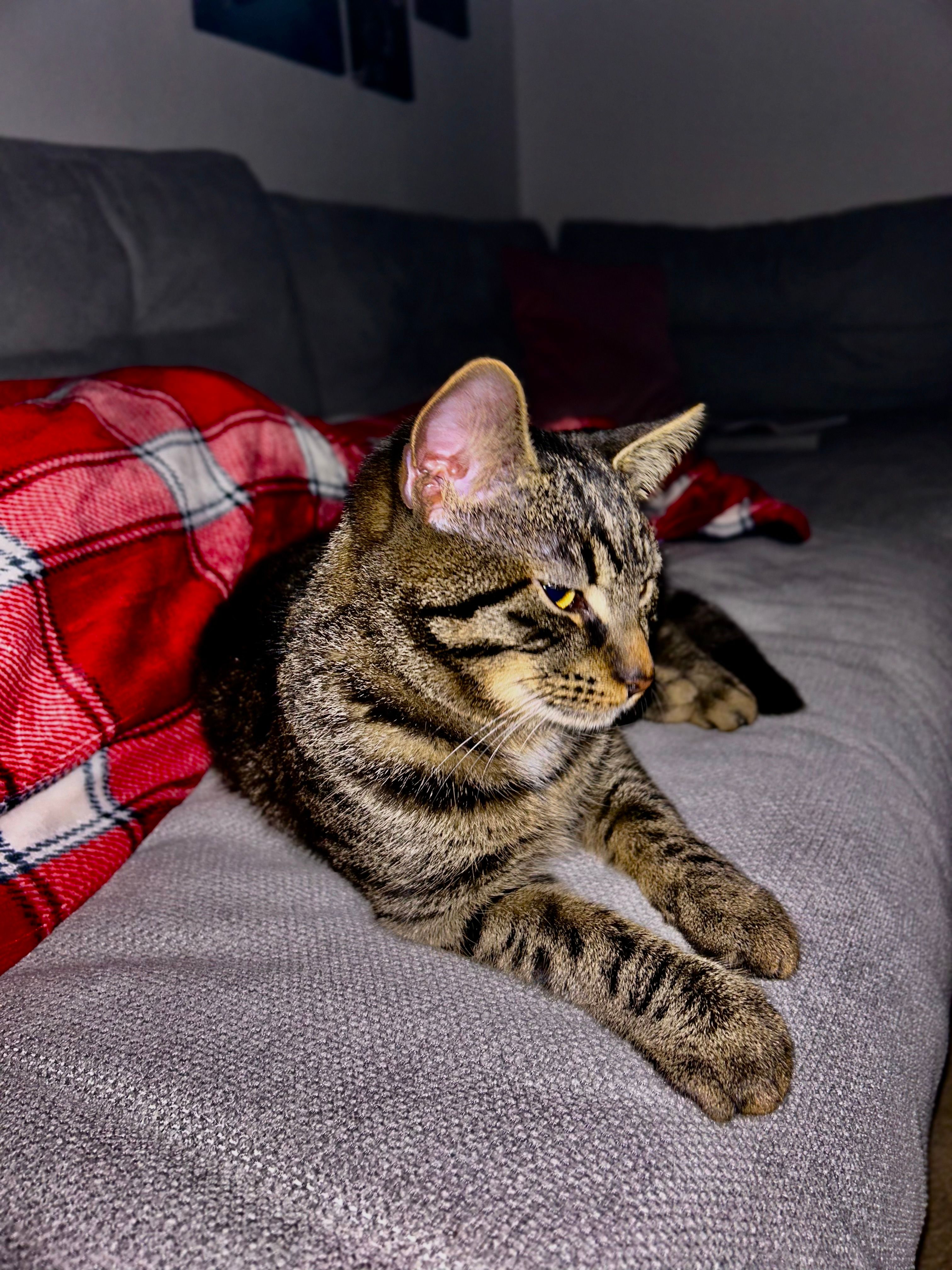 Timon - Richard-Wagner-Straße 14, Neuruppin