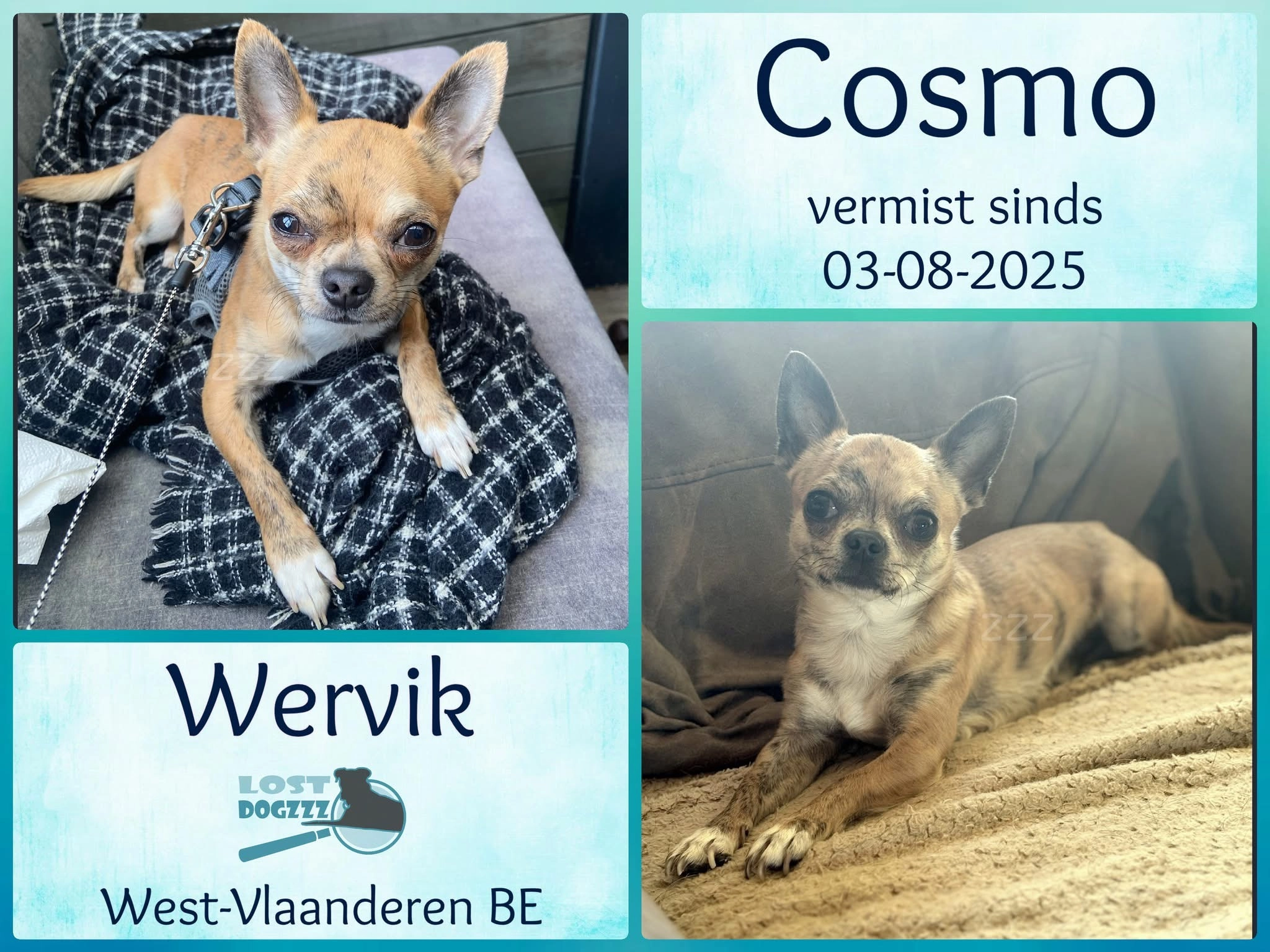 Cosmo - Bourgondiëstraat, Wervik