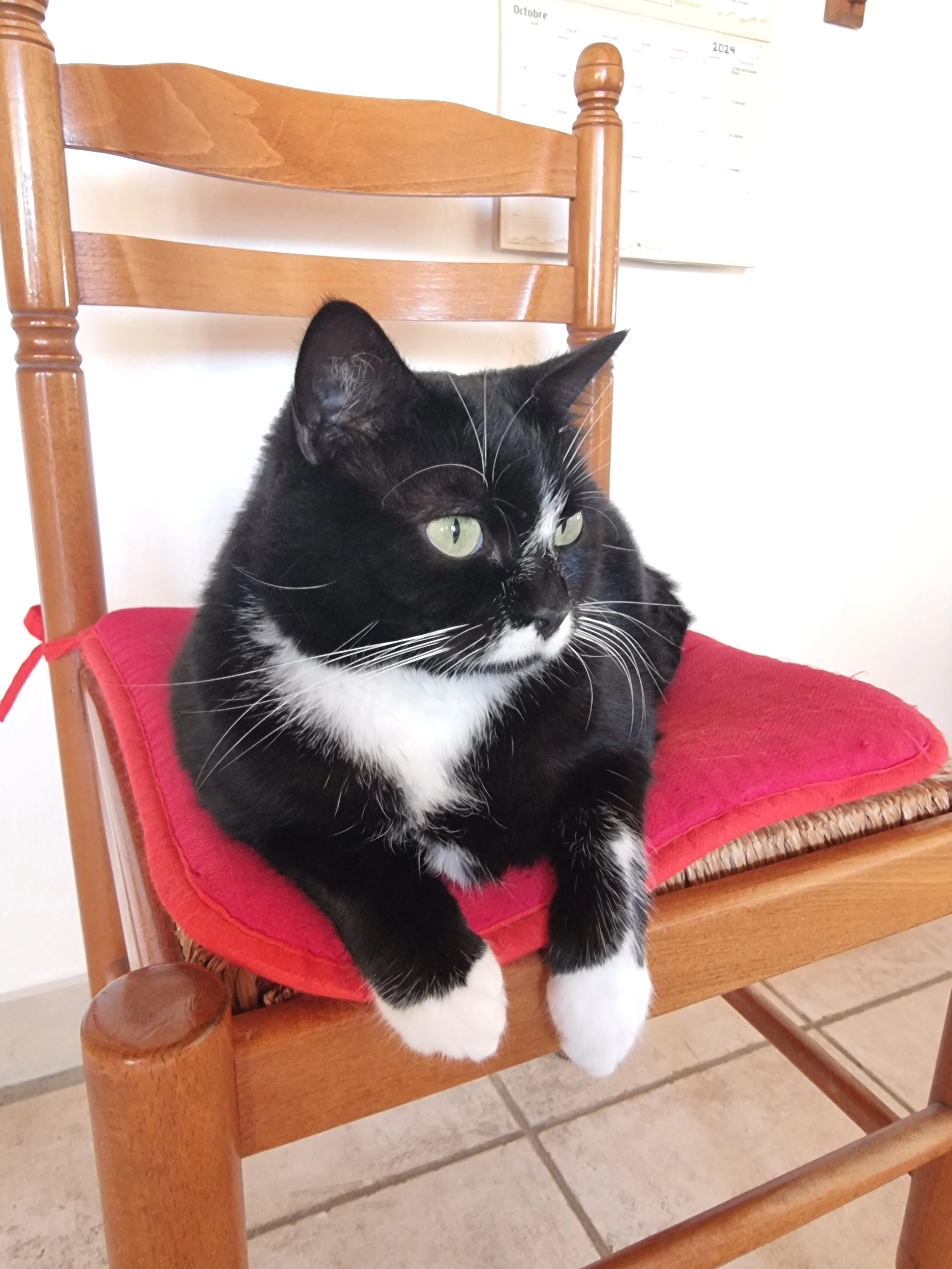 Tama - Rue du Silo, Semussac