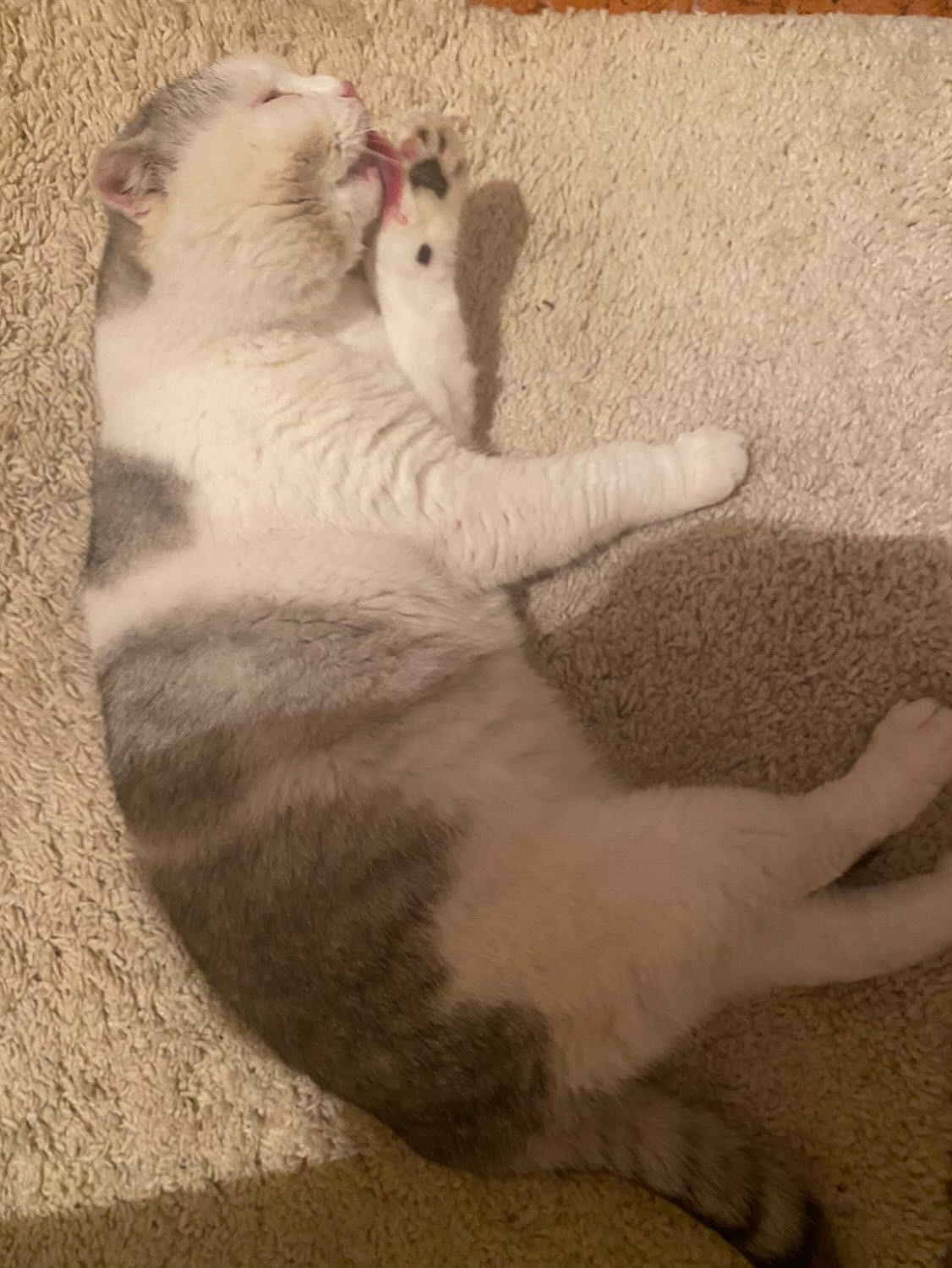 Aksur  - Almazova ulitsa, Oral