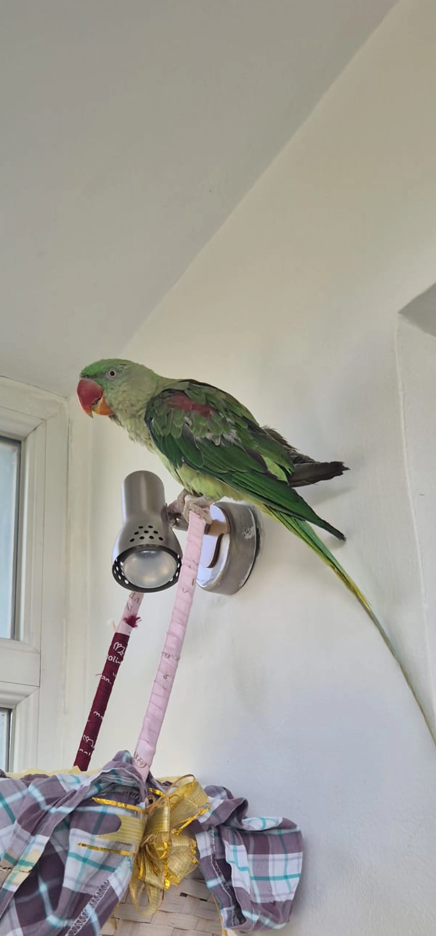 Ari - Strada George Vâlsan, Craiova