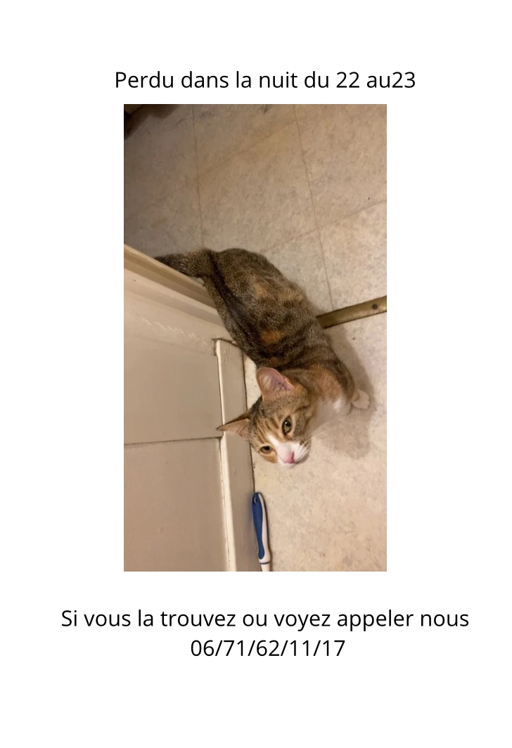 Snookie - Rue Du Torpilleur Sirocco, Riom