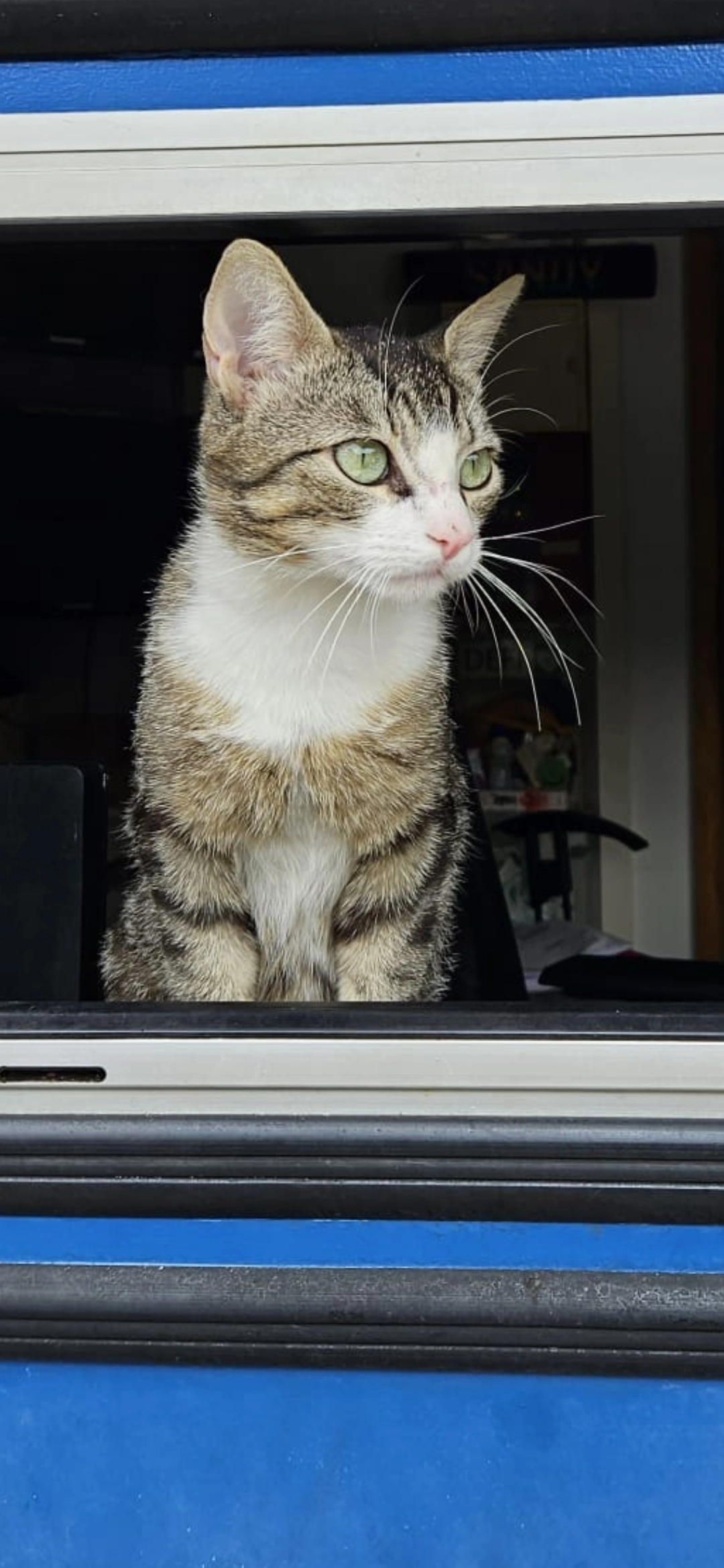 Kasimir - Isolastraße, Düren