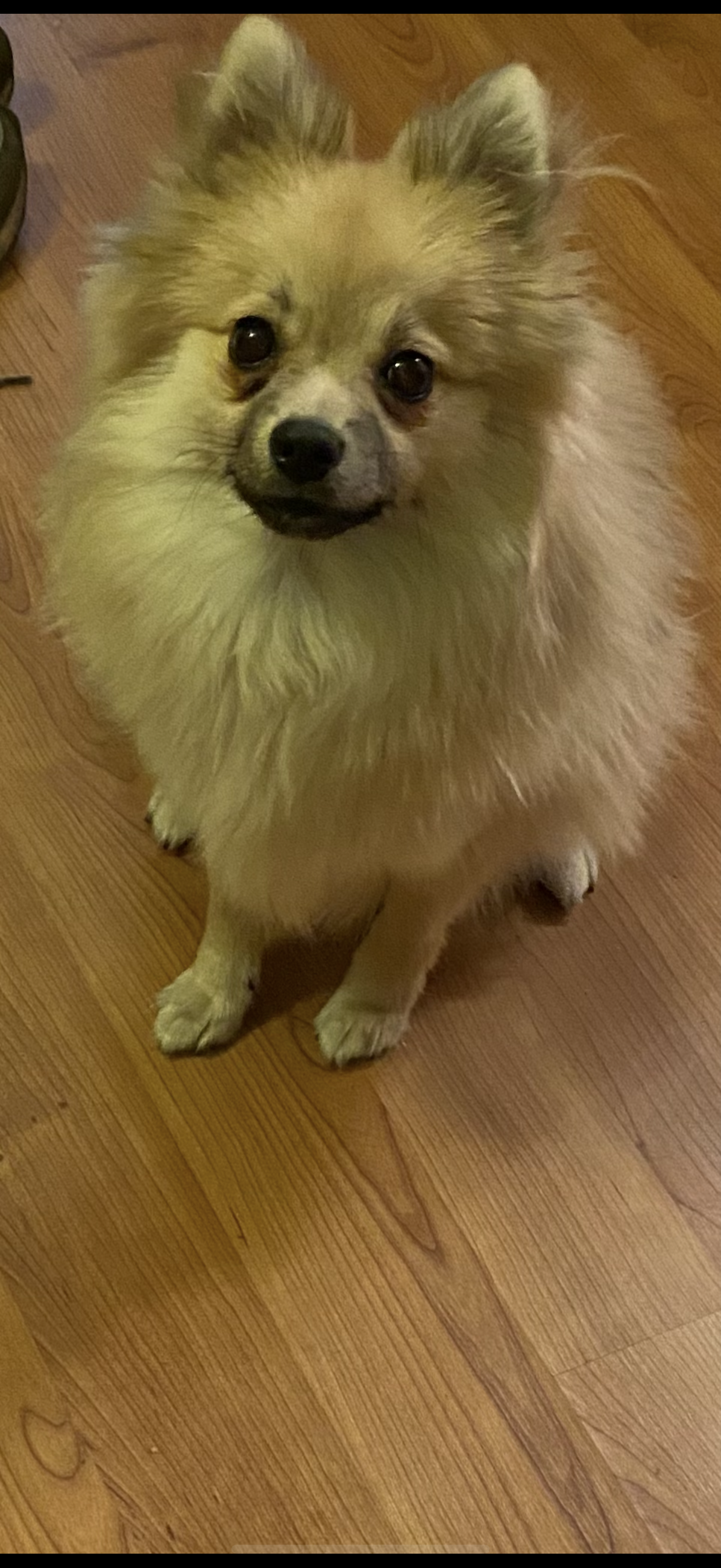 Max - Sebald-Waldstein-Straße, Zeitz