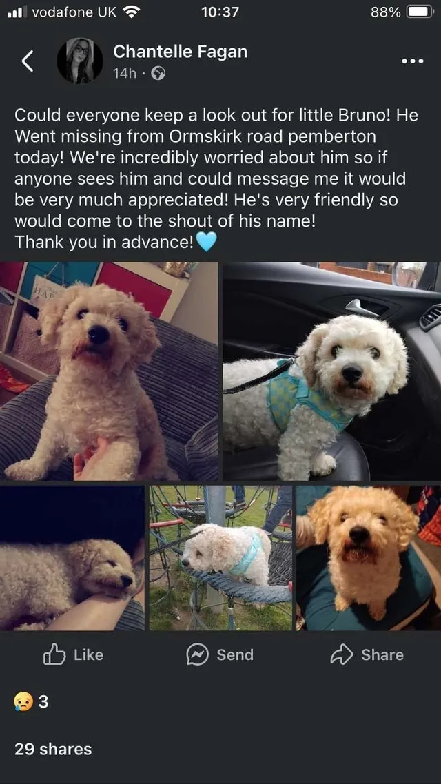 Bruno - Ormskirk Road, Wigan