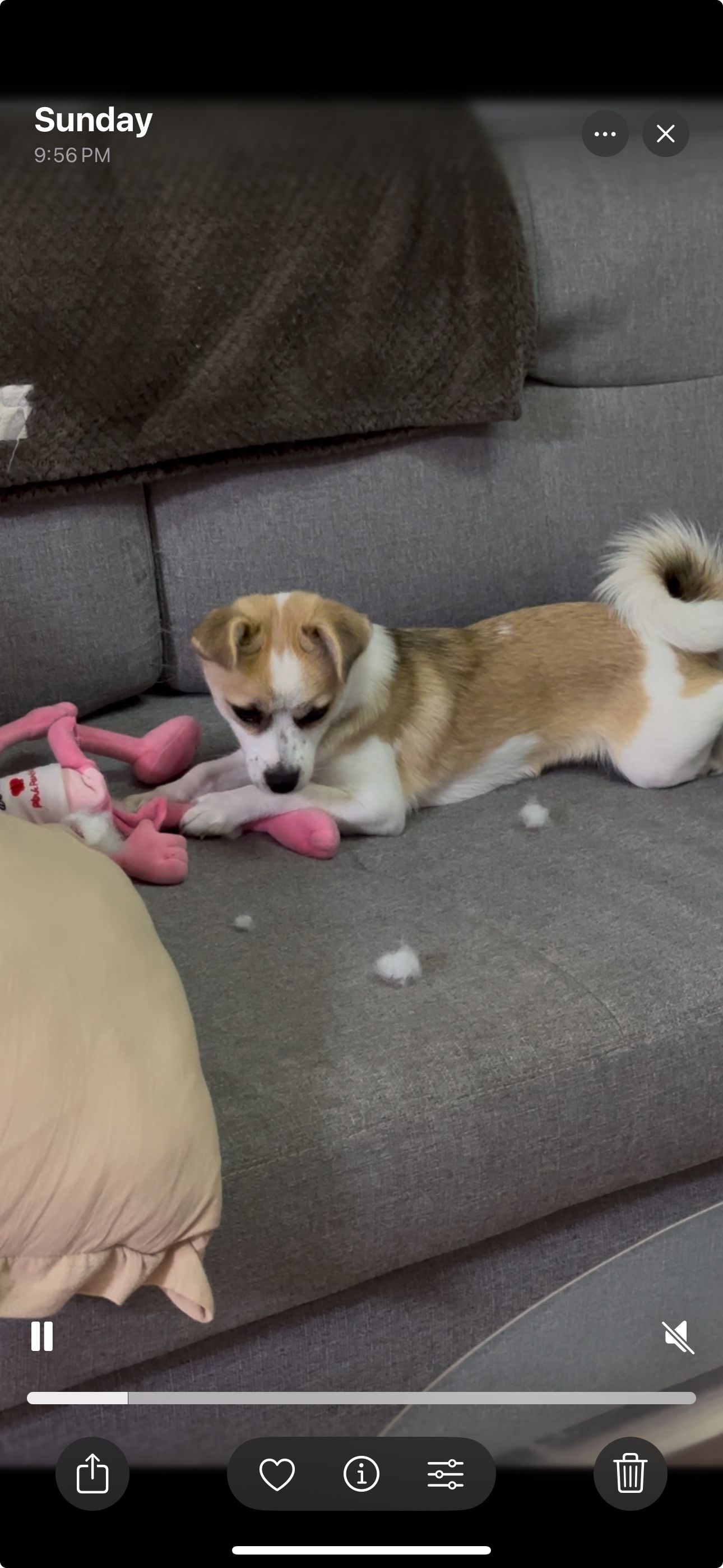 Ppuri - Namjung-dong, Iksan