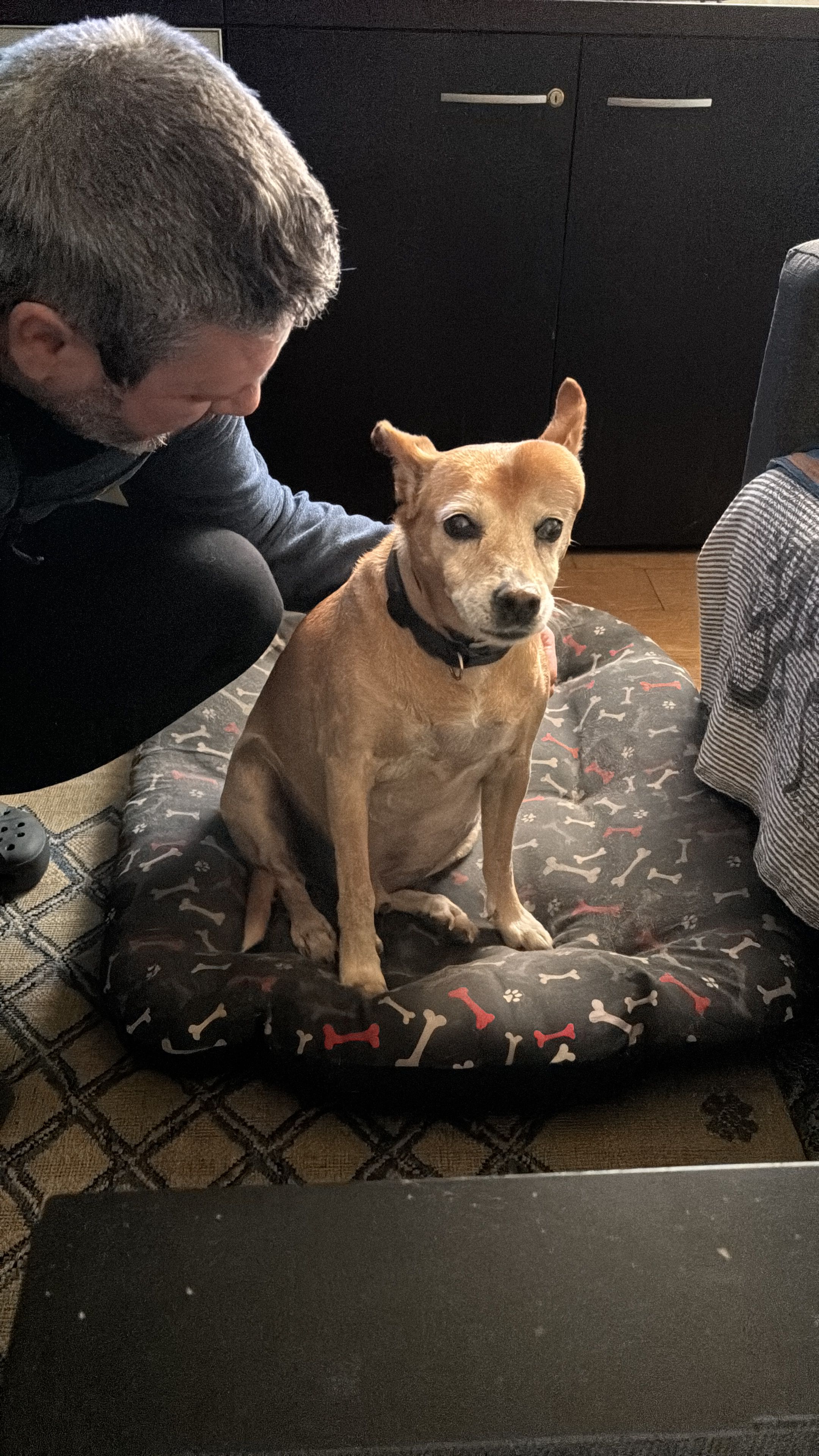 Rubio  - Plaza de la Emperatriz, Madrid