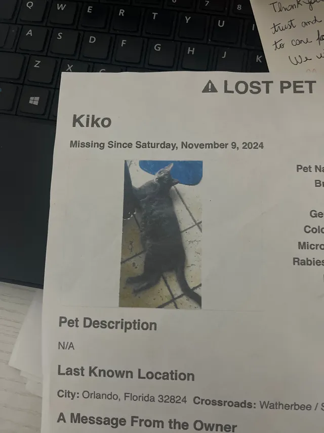 Kiko - 266 White Marsh Cir, Orlando