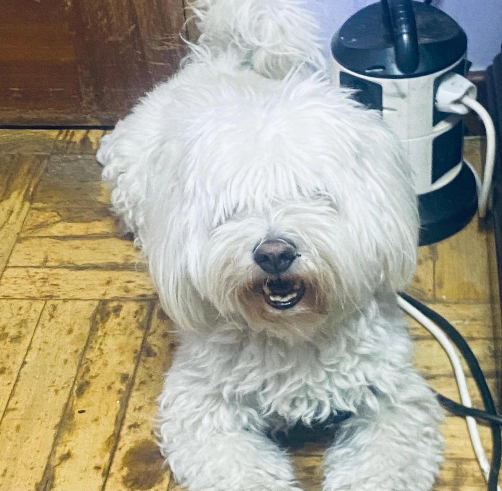 Zeta - Calle de Somontín, Madrid