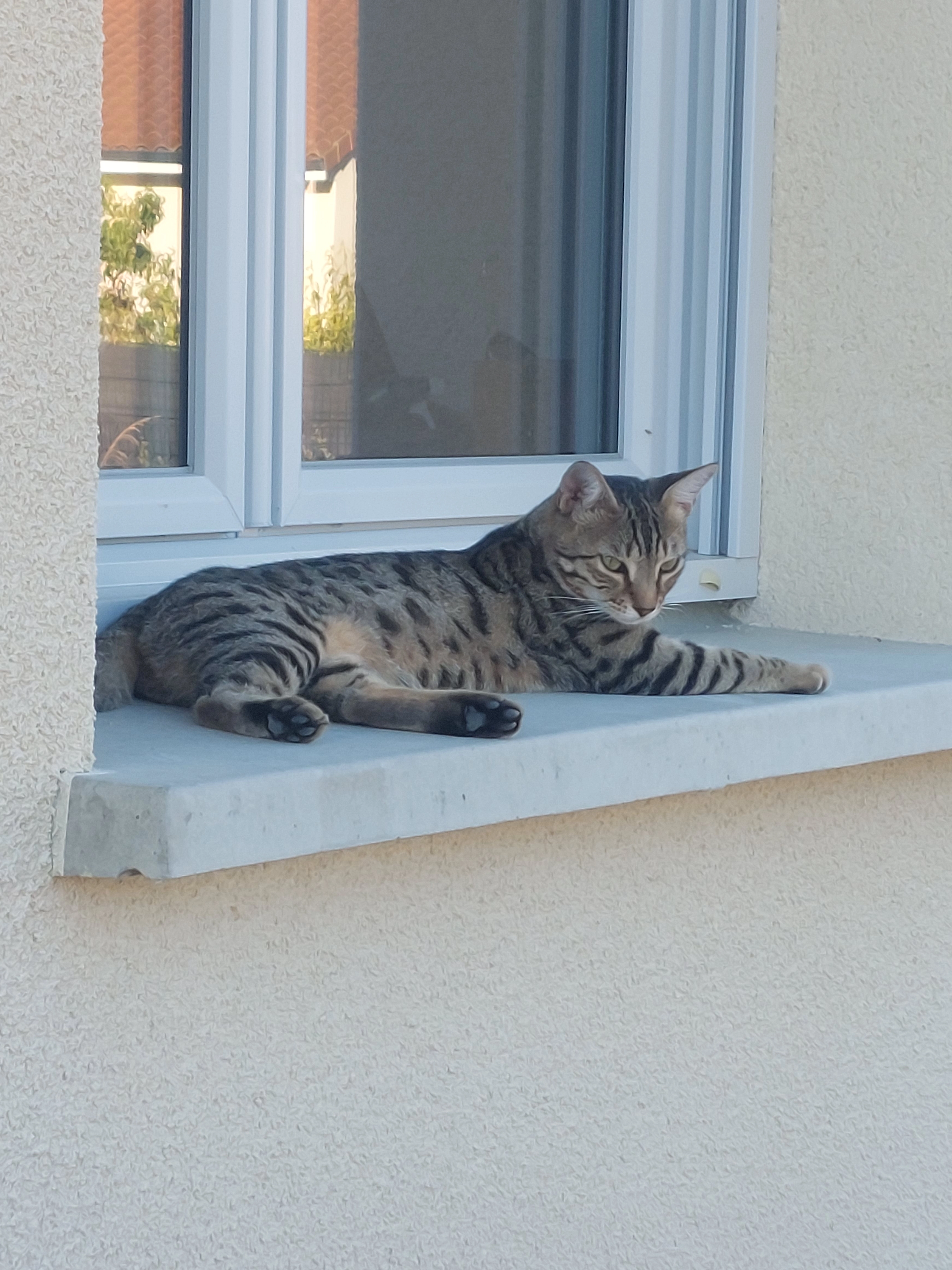Vodka - Rue Du Champ Pagnant, Saint-Denis-Combarnazat