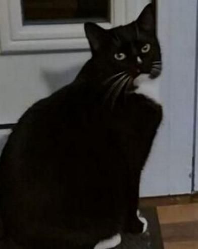 MINKI - Untere Straße, Rüthen