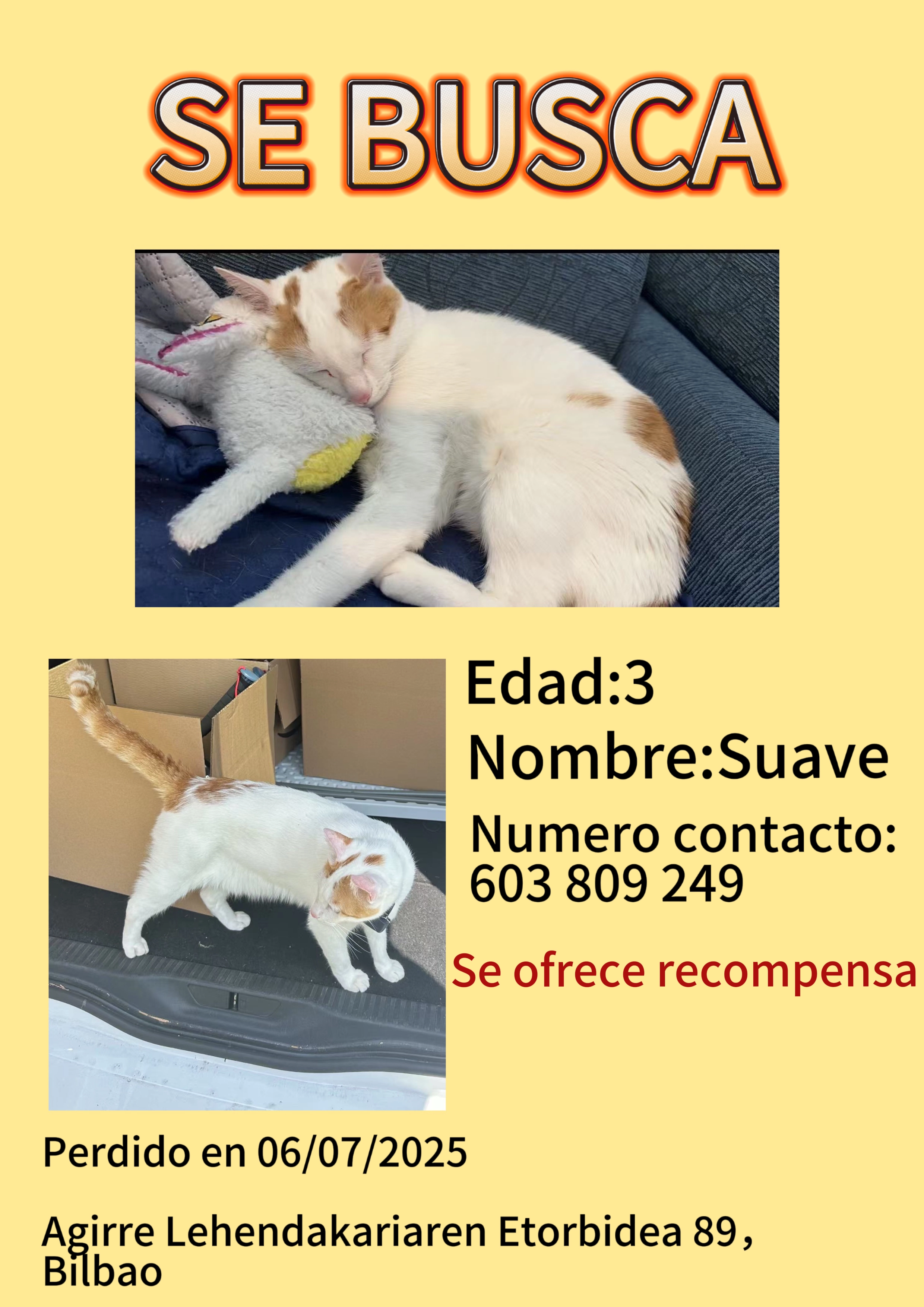 Suave - Agirre Lehendakariaren Etorbidea 89, Bilbao