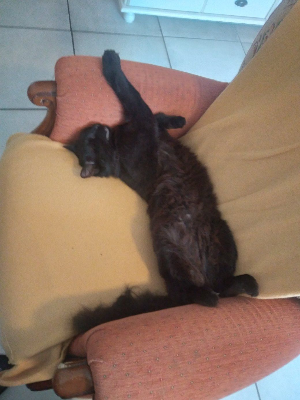 Haribo - Rue Des Loges, Fontenay-le-Comte