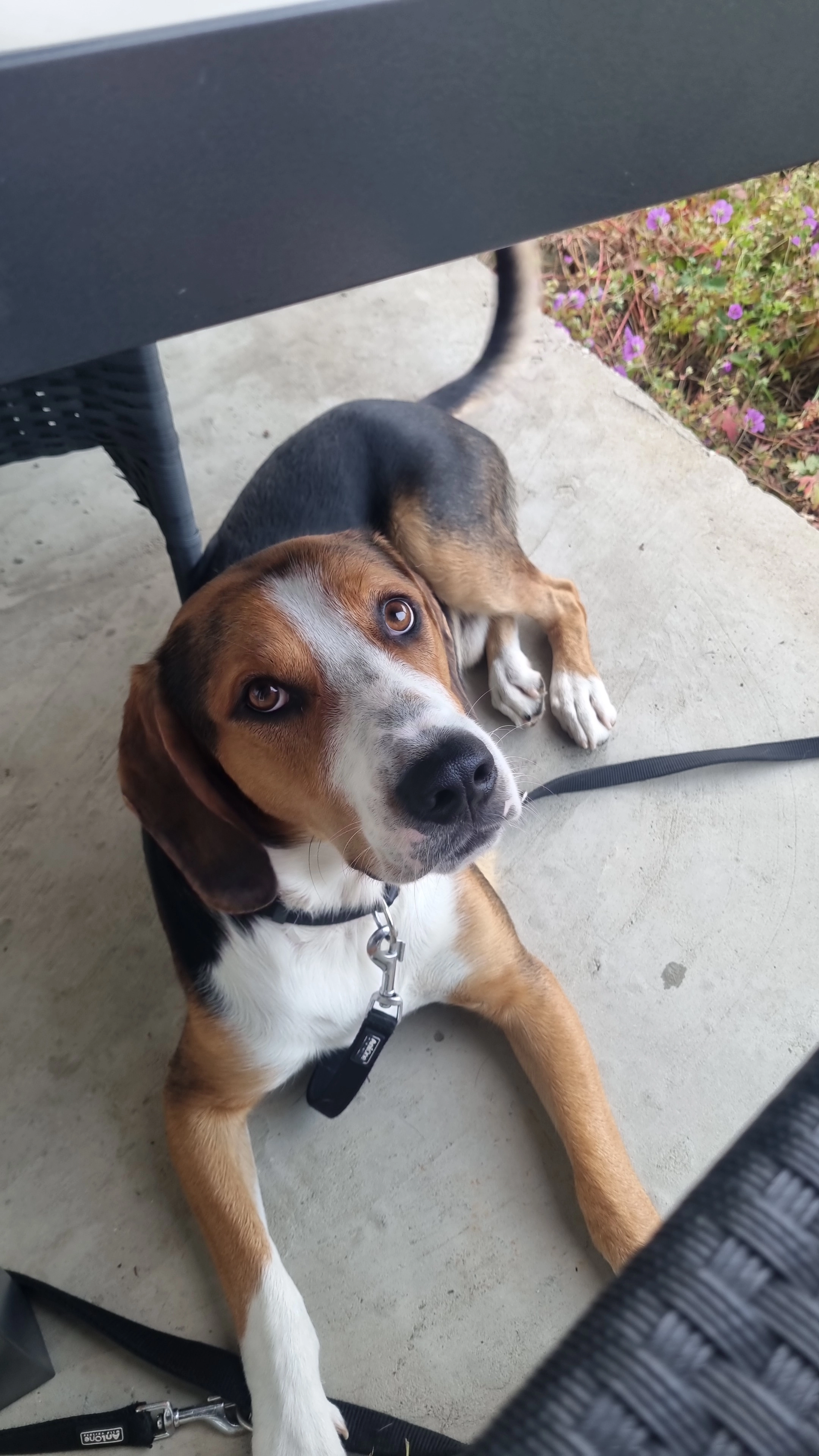 TAYKO - Auf der Lüss, Sengenthal