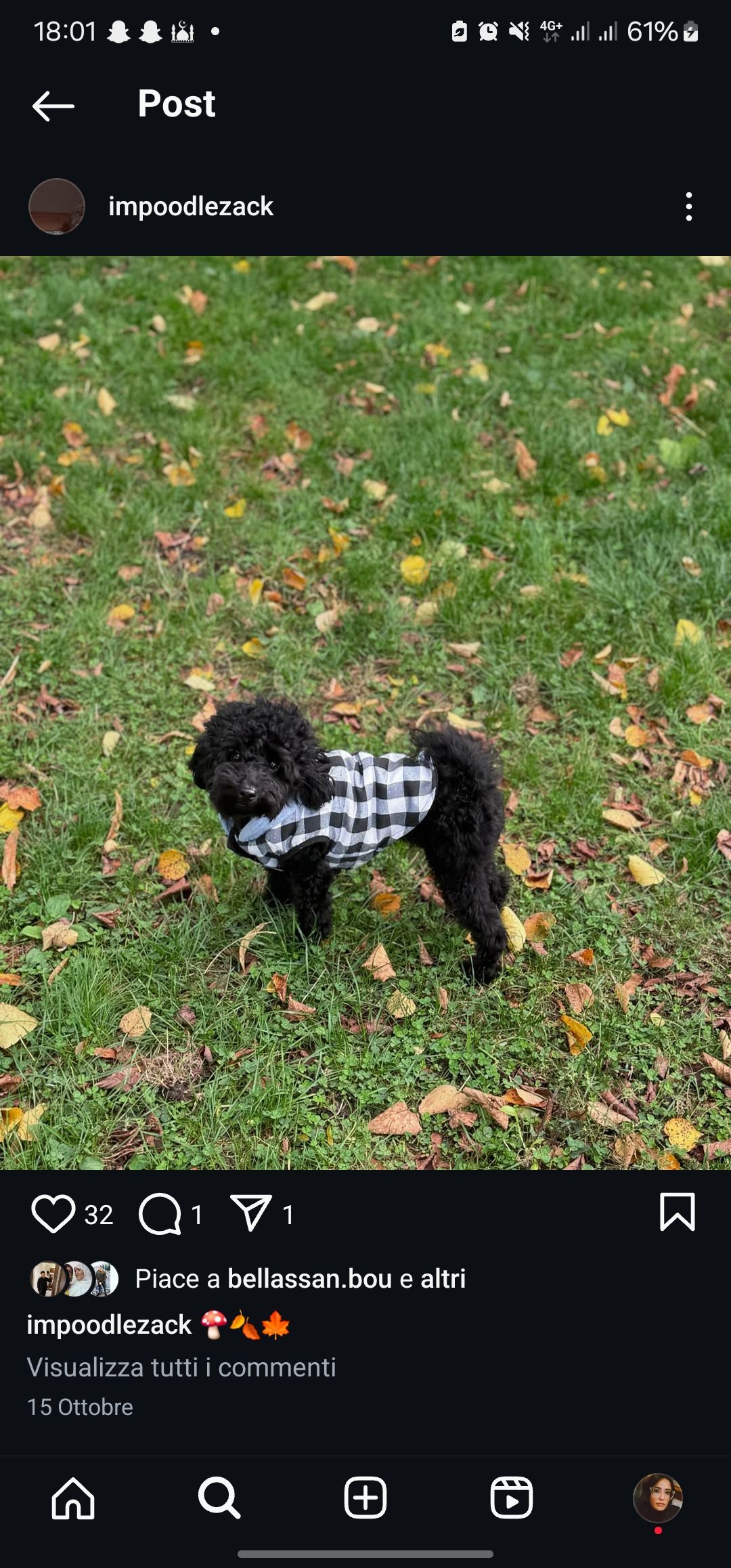 Zack - Stuthirtenweg, Schönefeld