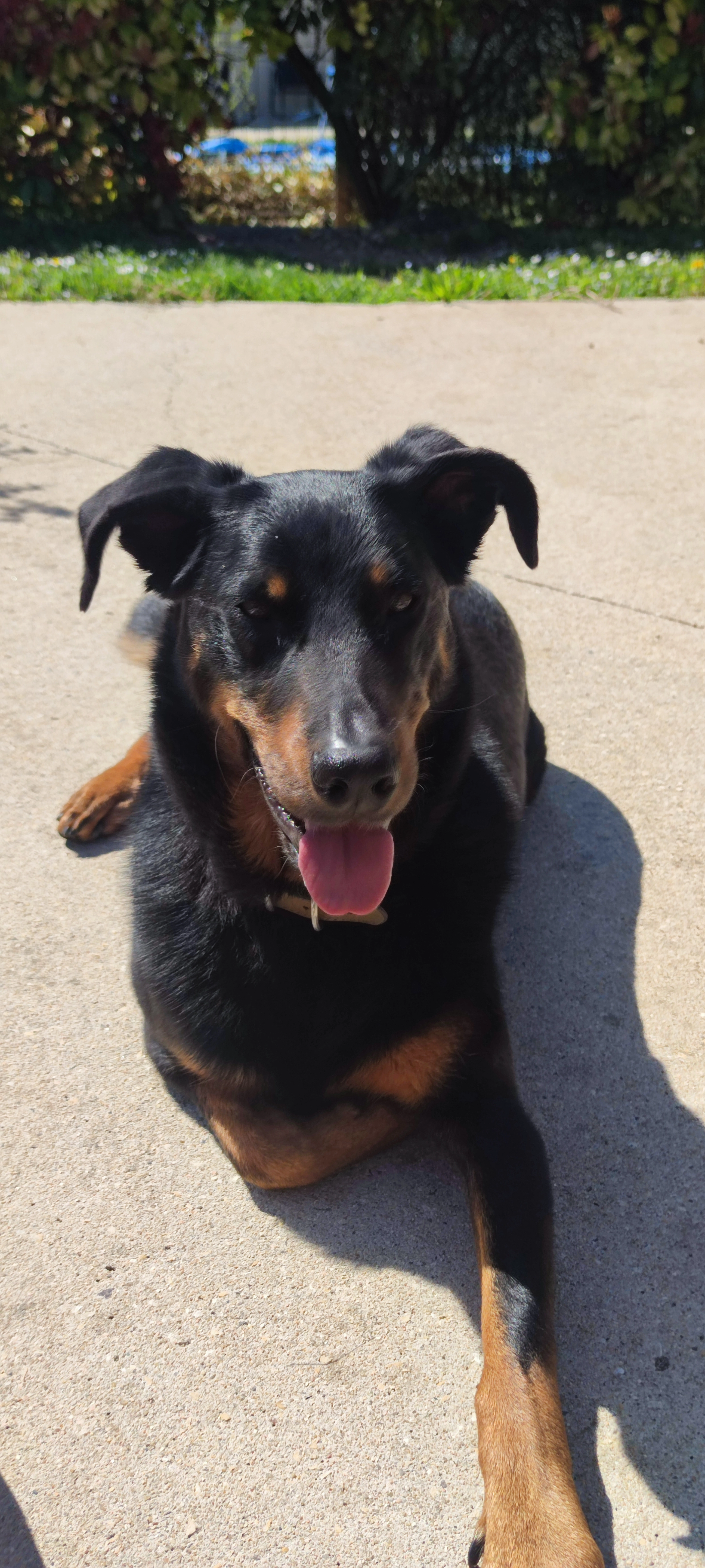 Oupse - Route de Moulins-sur-Yèvre, Sainte-Solange