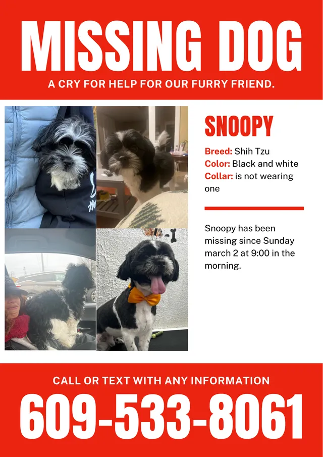 Snoopy - Samuel Street, Trenton