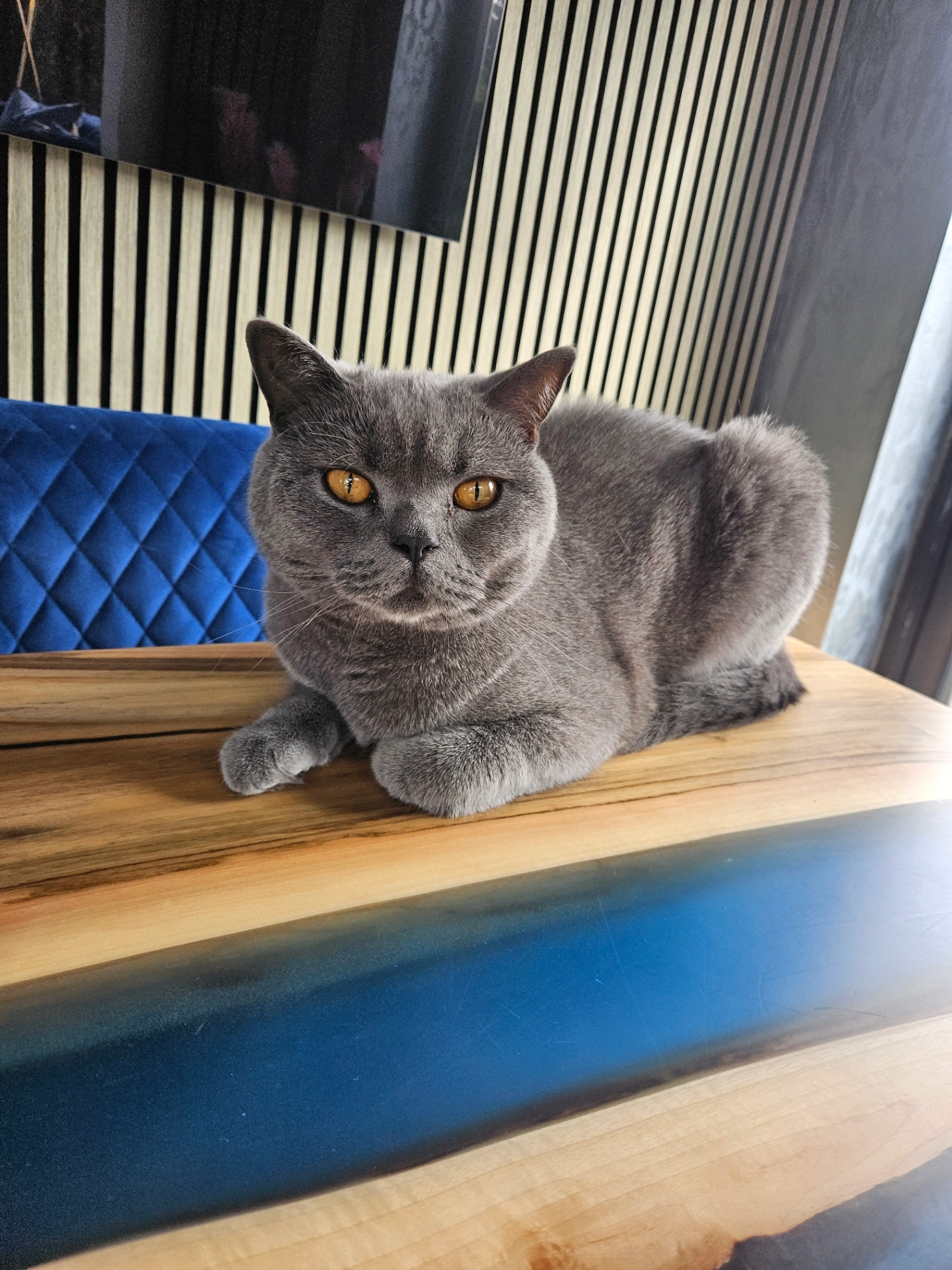 Blu - DN4 7, Doncaster