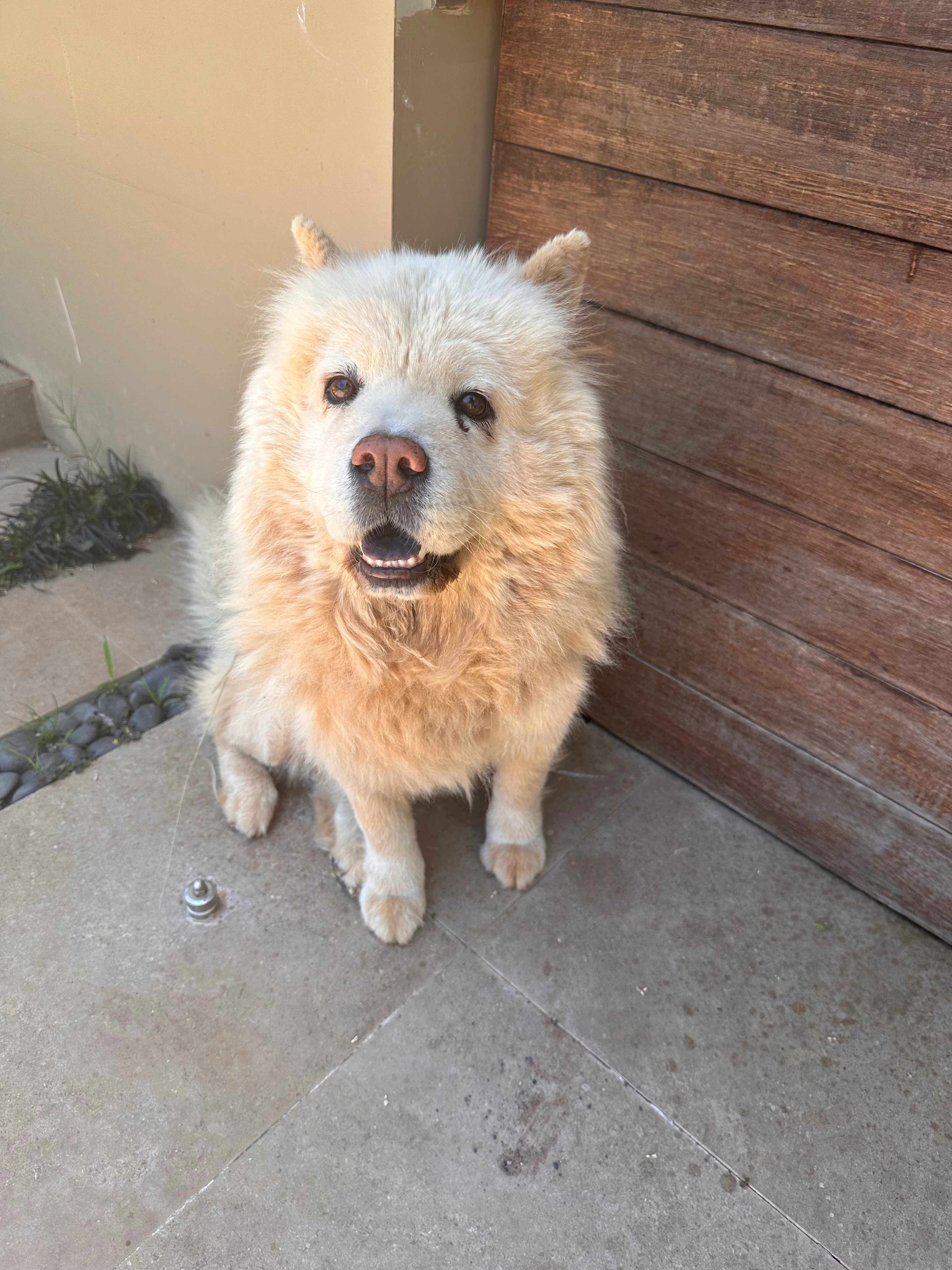 Vodka - زنقة الرومان, أكدال الرياض