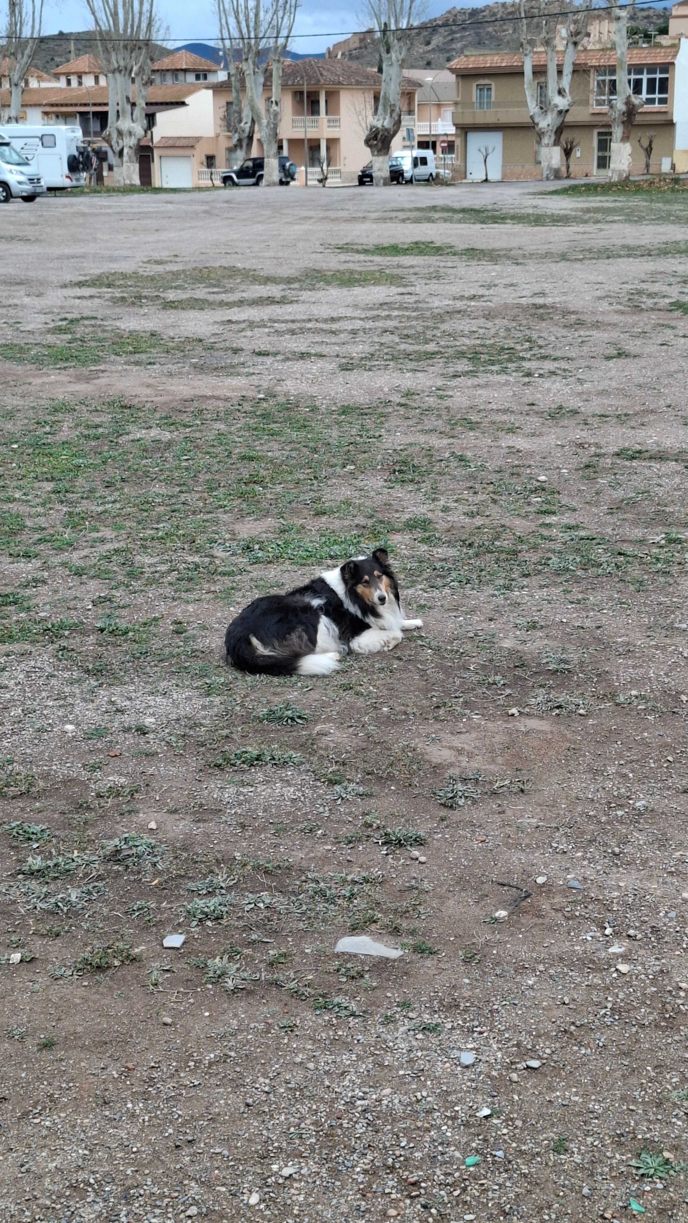 Lizzie  - 15, Koeweit