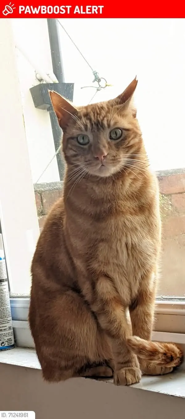 Ezra - Vixen Way, Plymouth