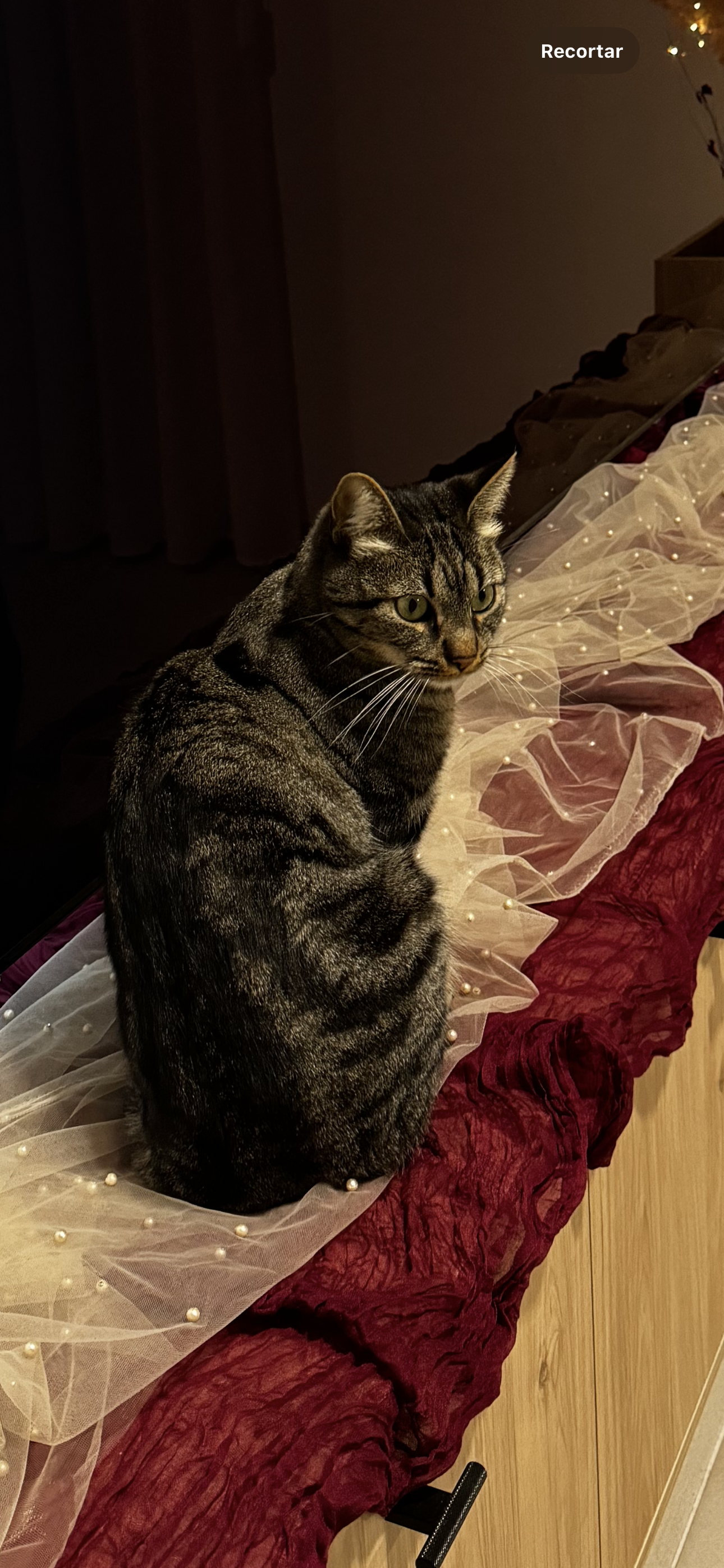 Luna - Rua Principal, Monte Redondo