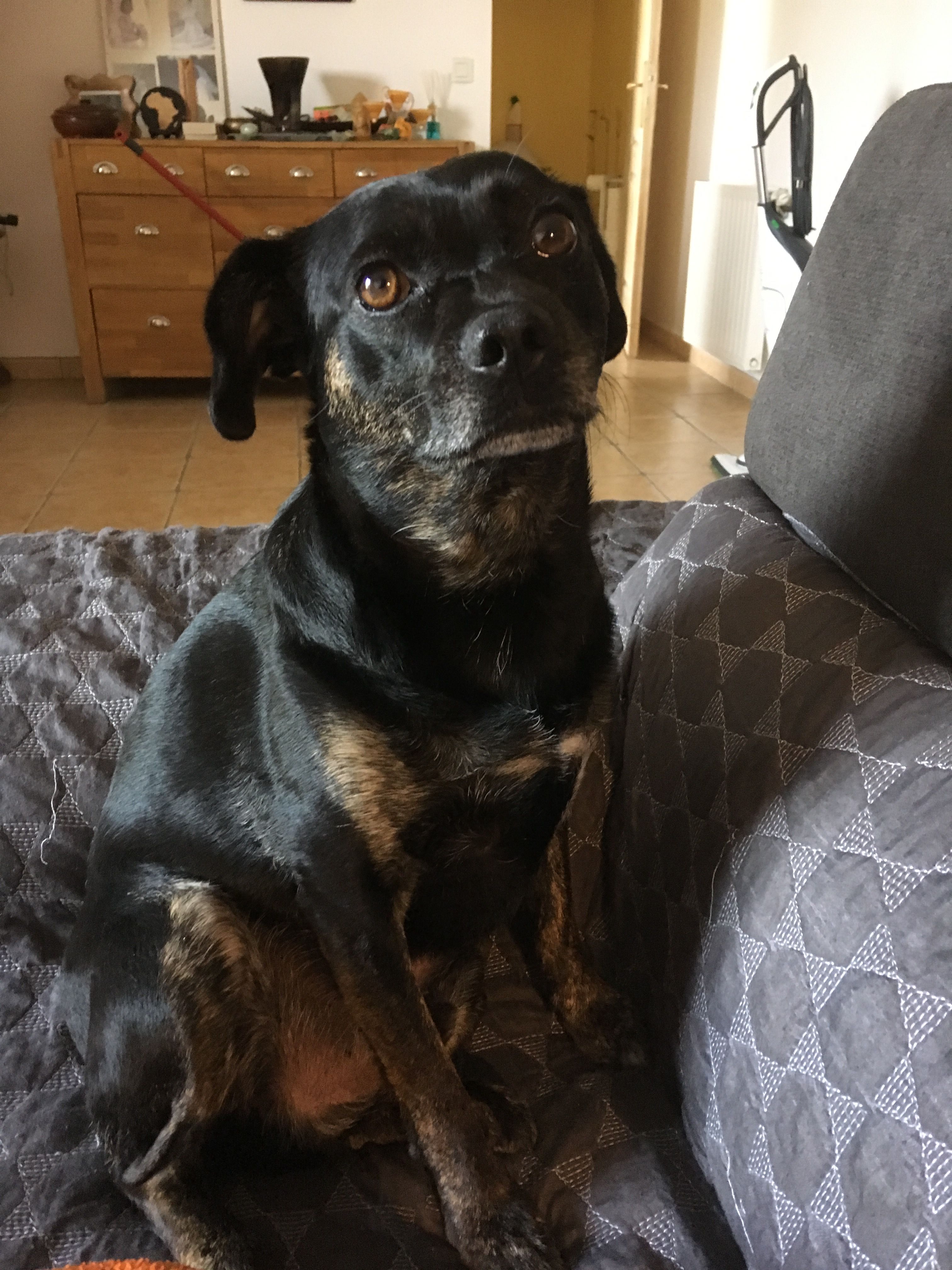 Roméo  - 10 Rue des Ouches, Épineau-les-Voves