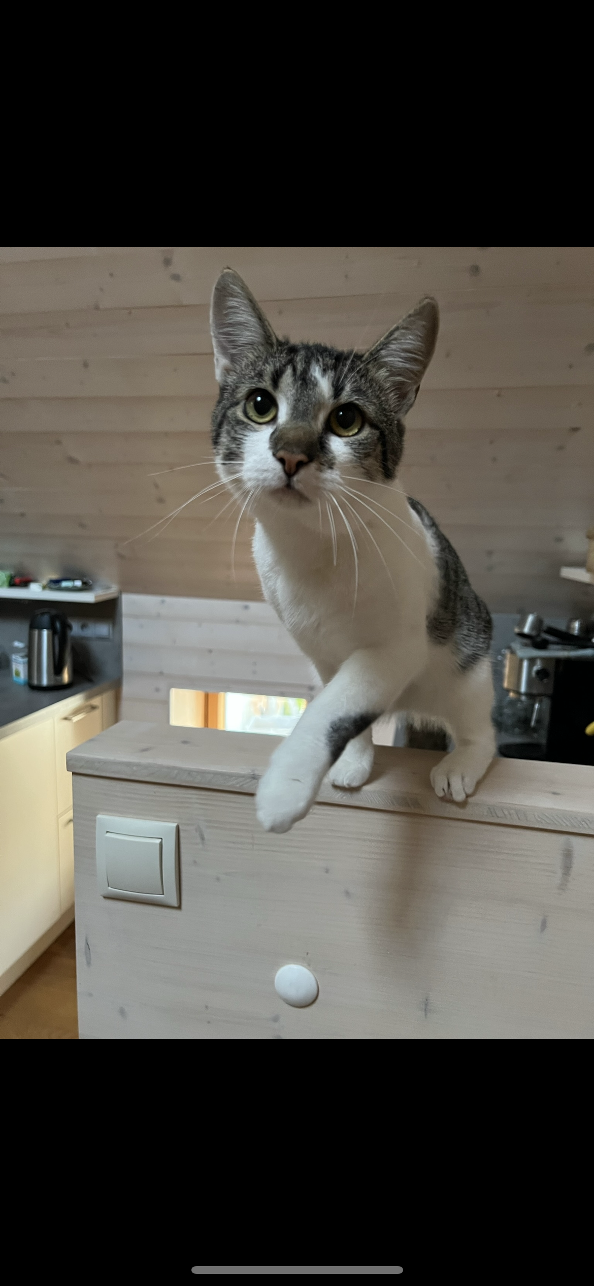 Simba - Platt 39, Zellerndorf