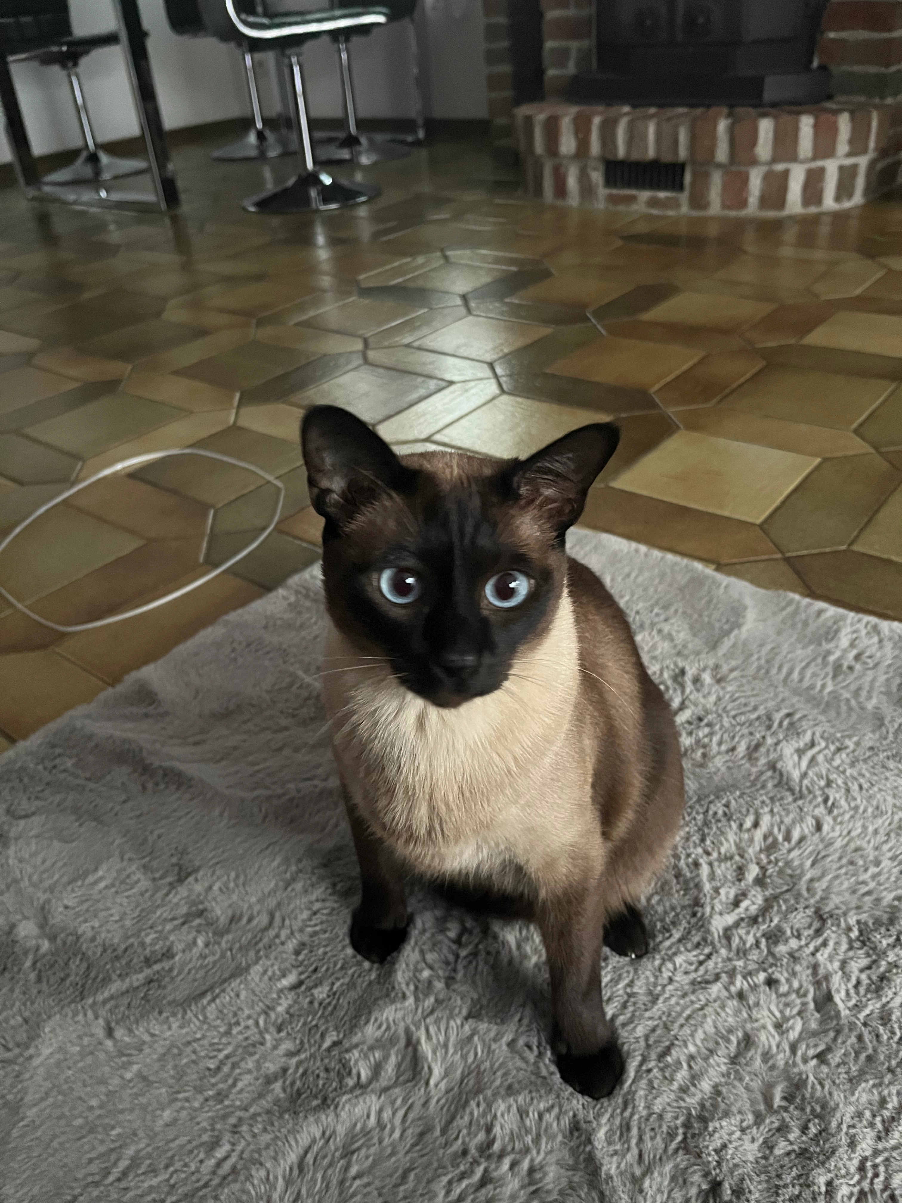 Findus - Schulstraße, Kamp-Lintfort