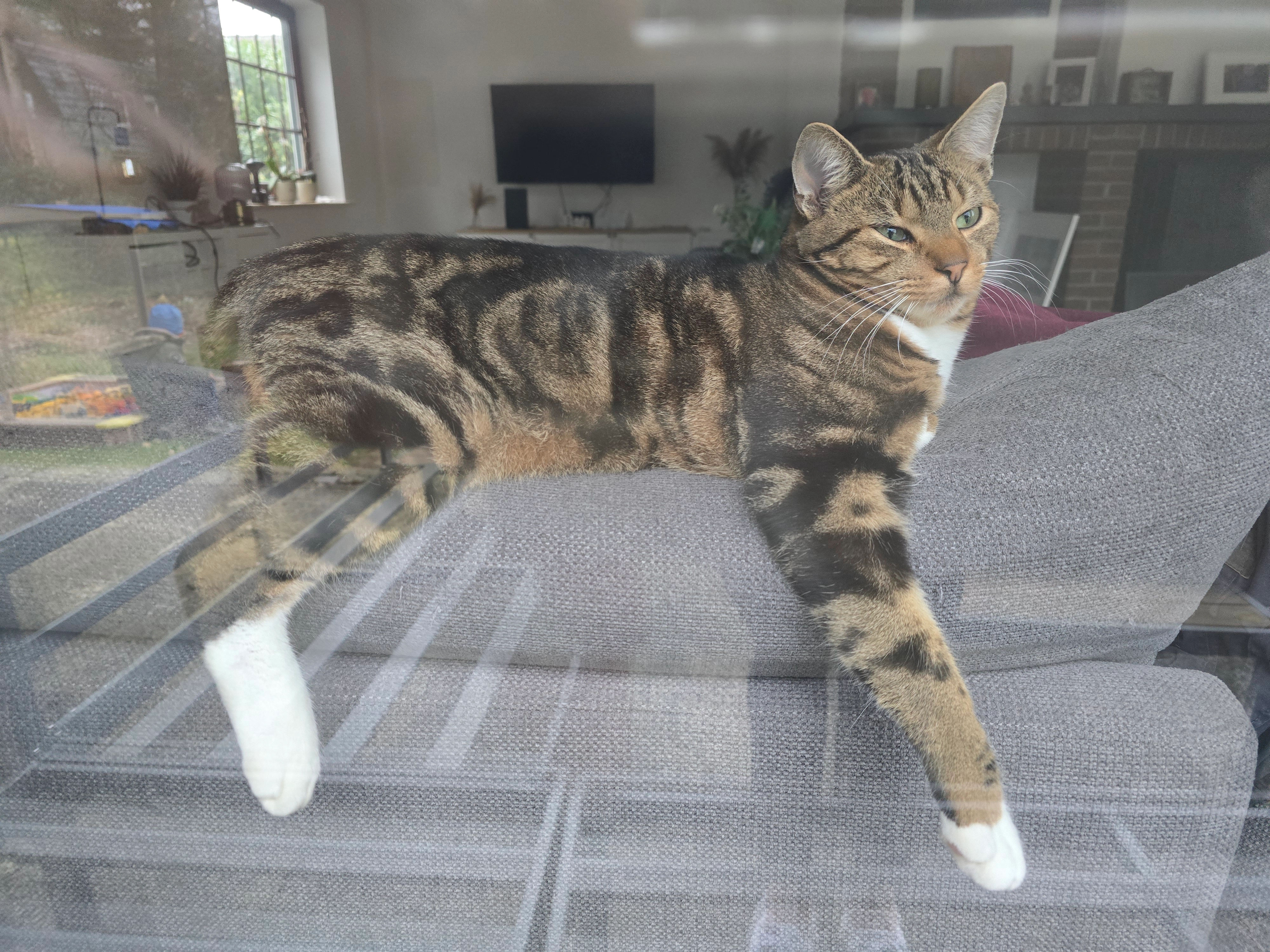 Tai - Im Rehwinkel, Osterholz-Scharmbeck