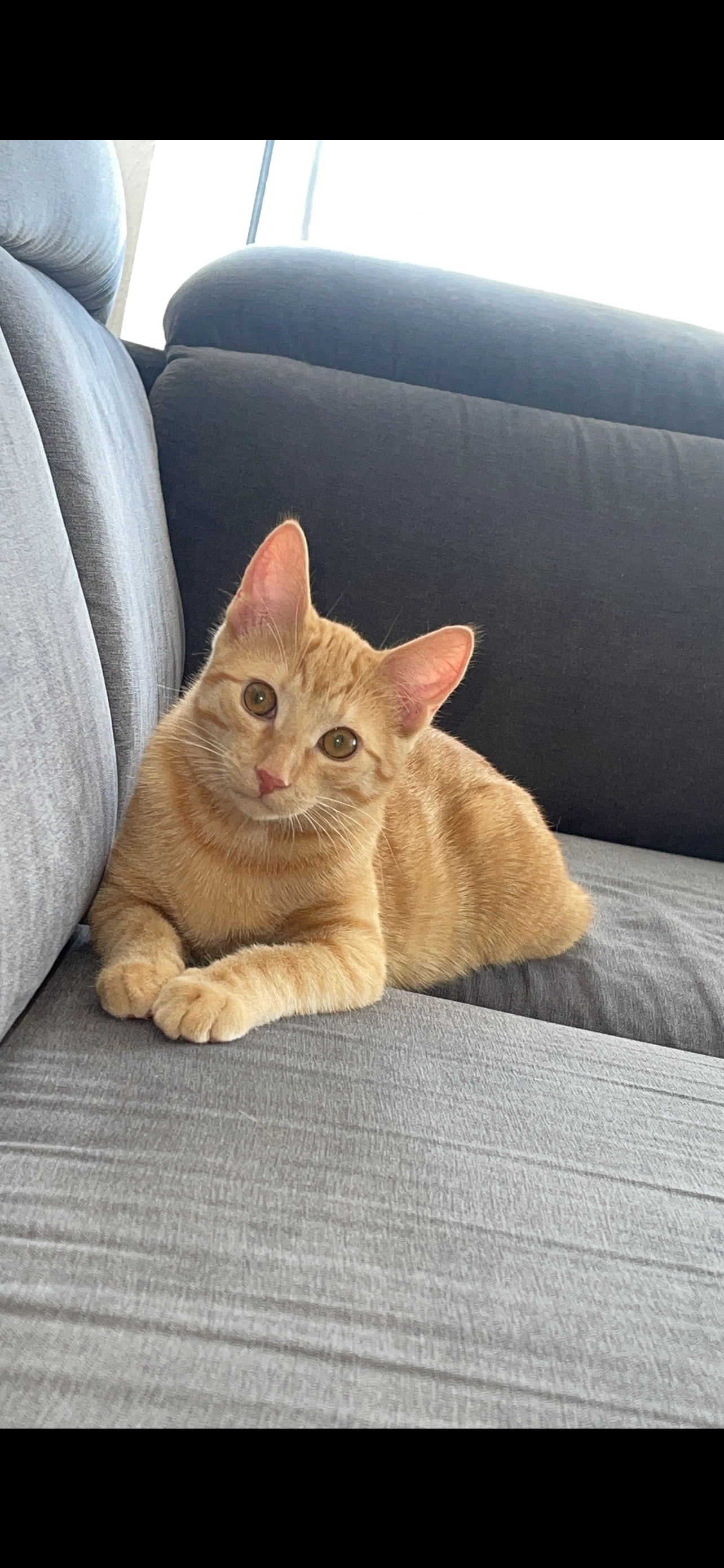 Mazok - Rastatter Straße, Durmersheim