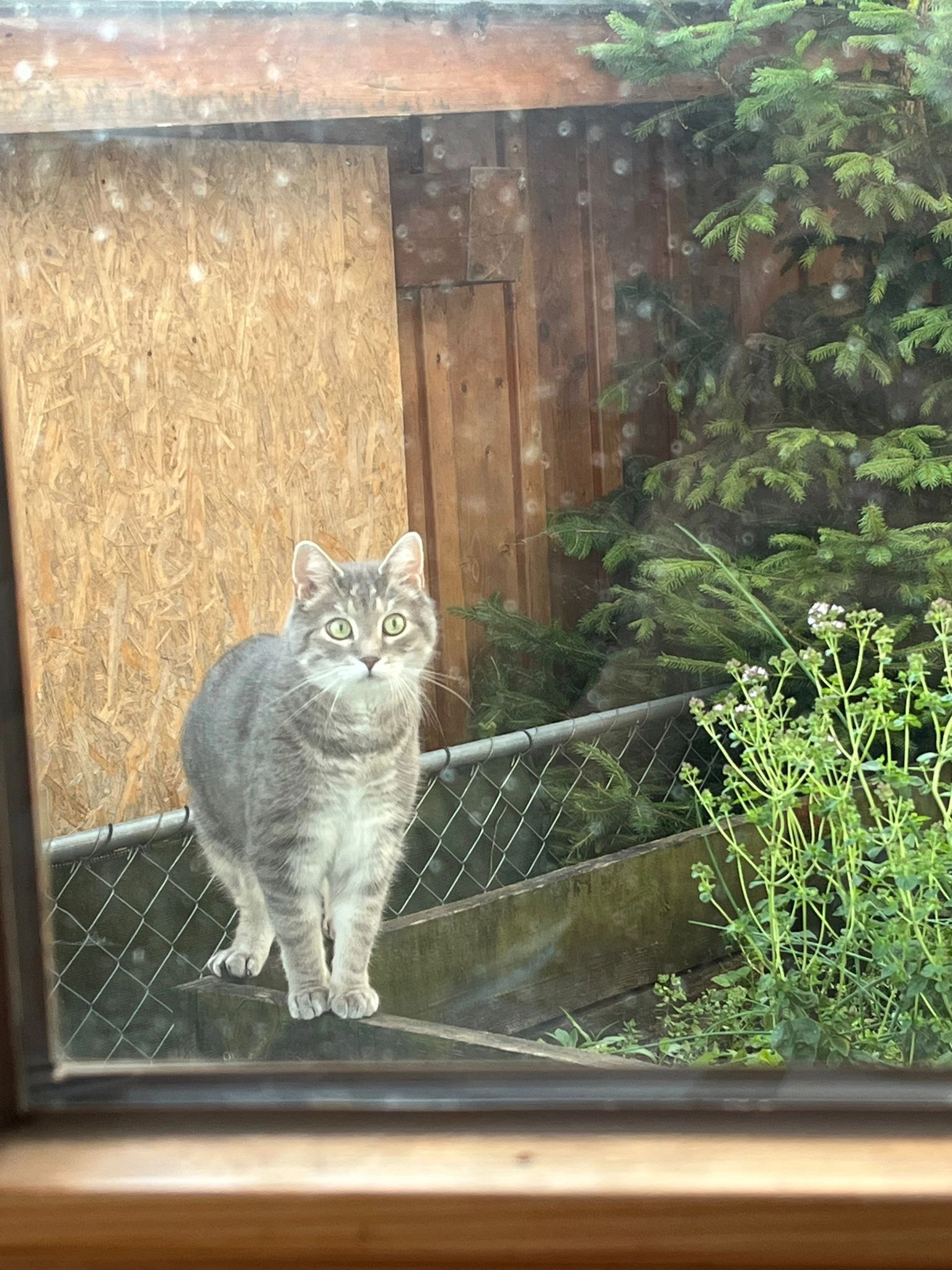 Uriel - Kaltenbrunnenstraße 17, Lauterach