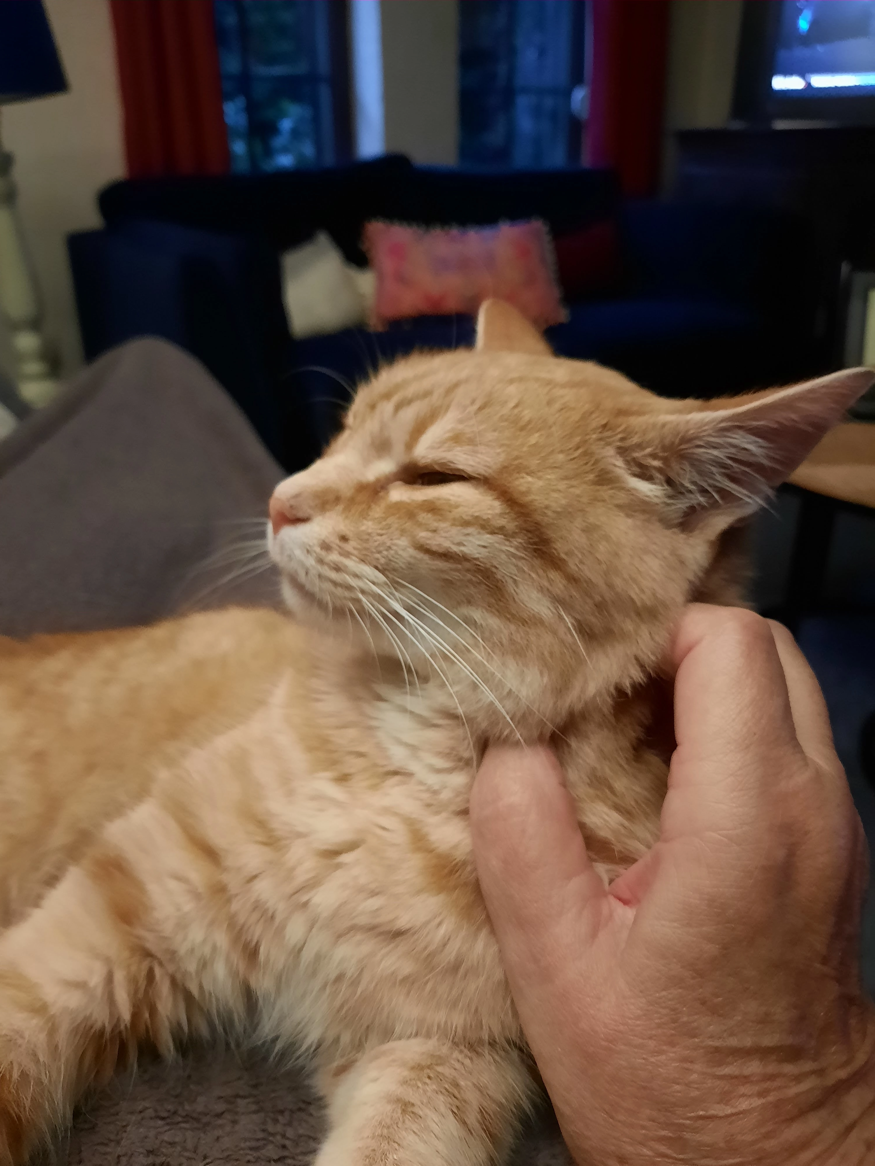 Roussy - Chaussée Romaine, Vresse-sur-Semois