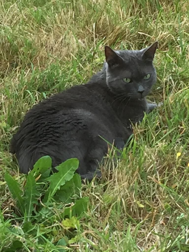 Popsi - 21 Rue de Jersey, Saint-Malo