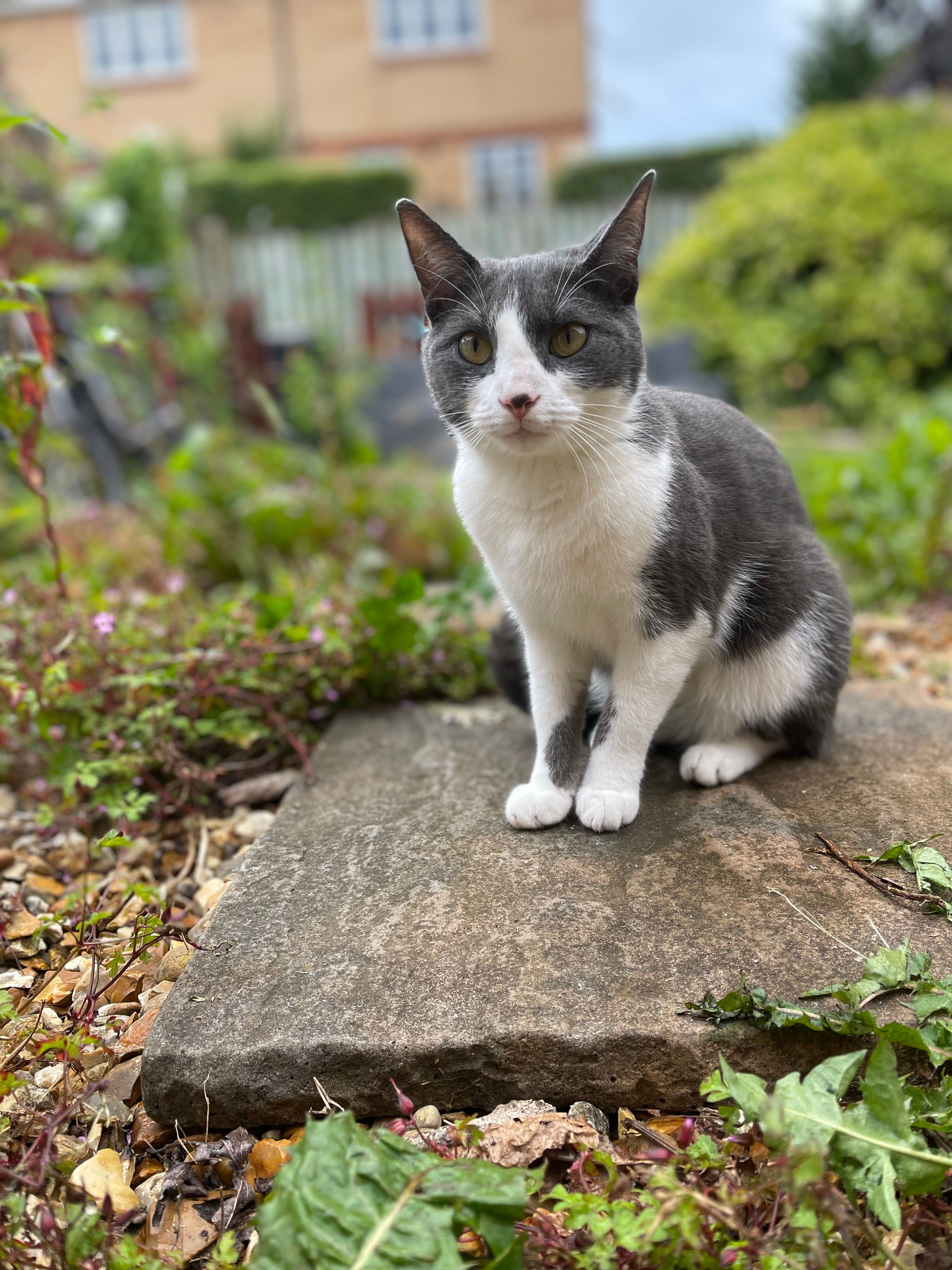 Wanda - Moins Court, York