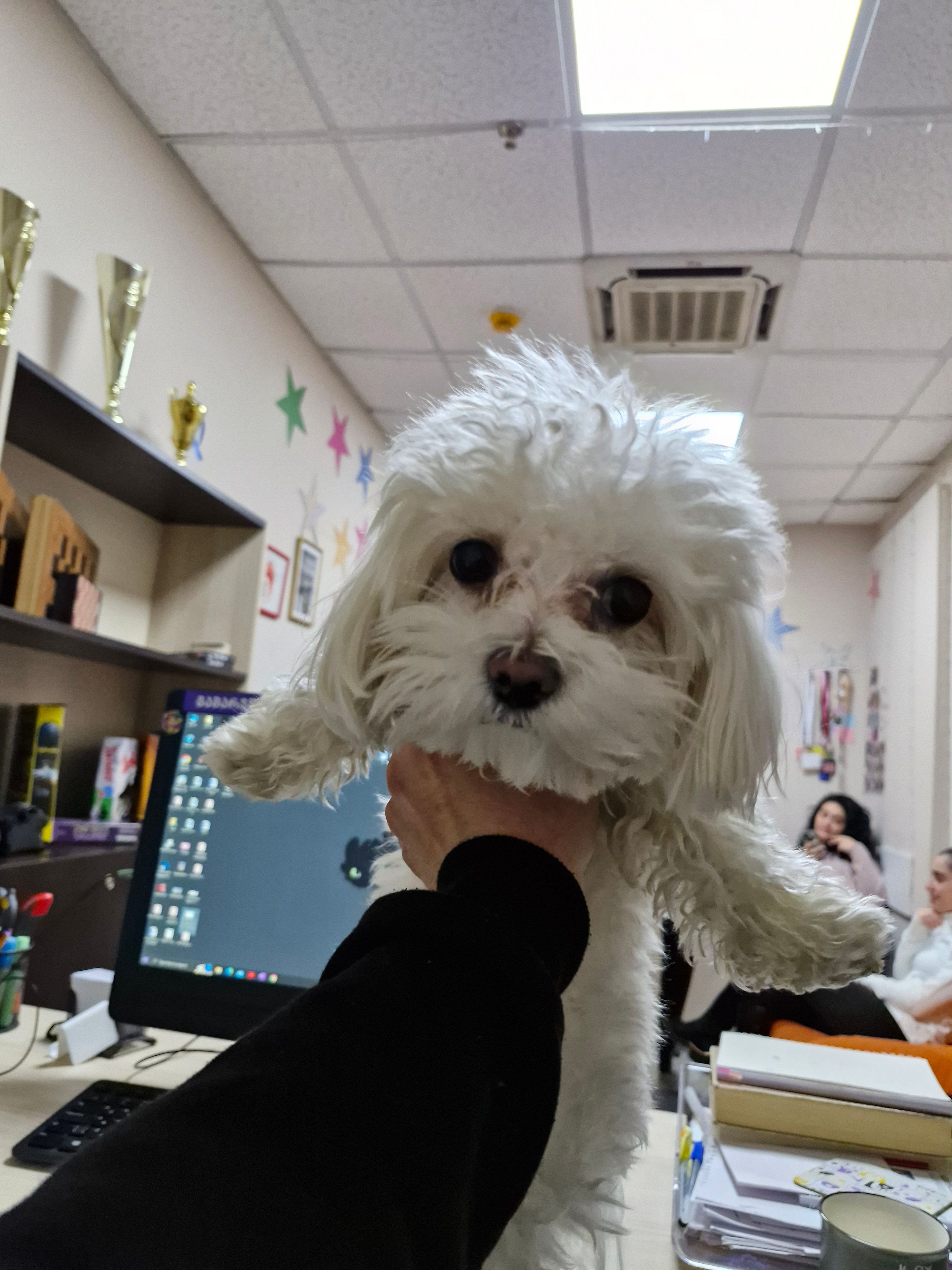 Miki - Carrer Del Penyal D'ifac, Bétera