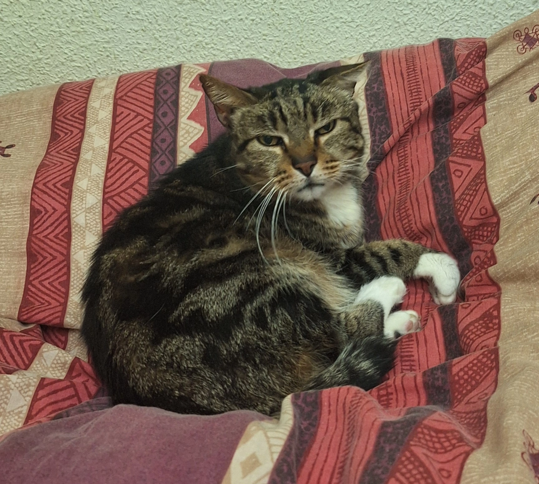 Julián  - Calle del Párroco Don Emilio Franco, Madrid